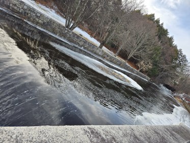 LIMINAL LIVING #50: 9 DECEMBER TO 15 DECEMBER 2024