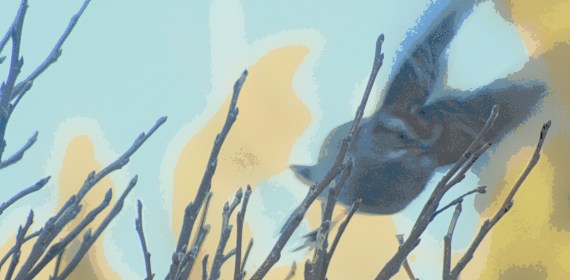 LINK FEST: 7 JANUARY 2025