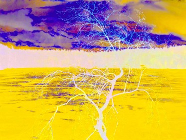 LINK FEST: 28 JANUARY 2025