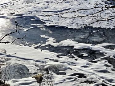 LINK FEST: 4 FEBRUARY 2025