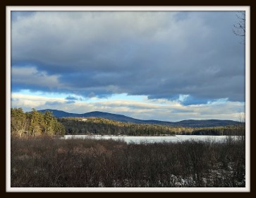 LIMINAL LIVING #55: 13 JANUARY TO 19 JANUARY 2025