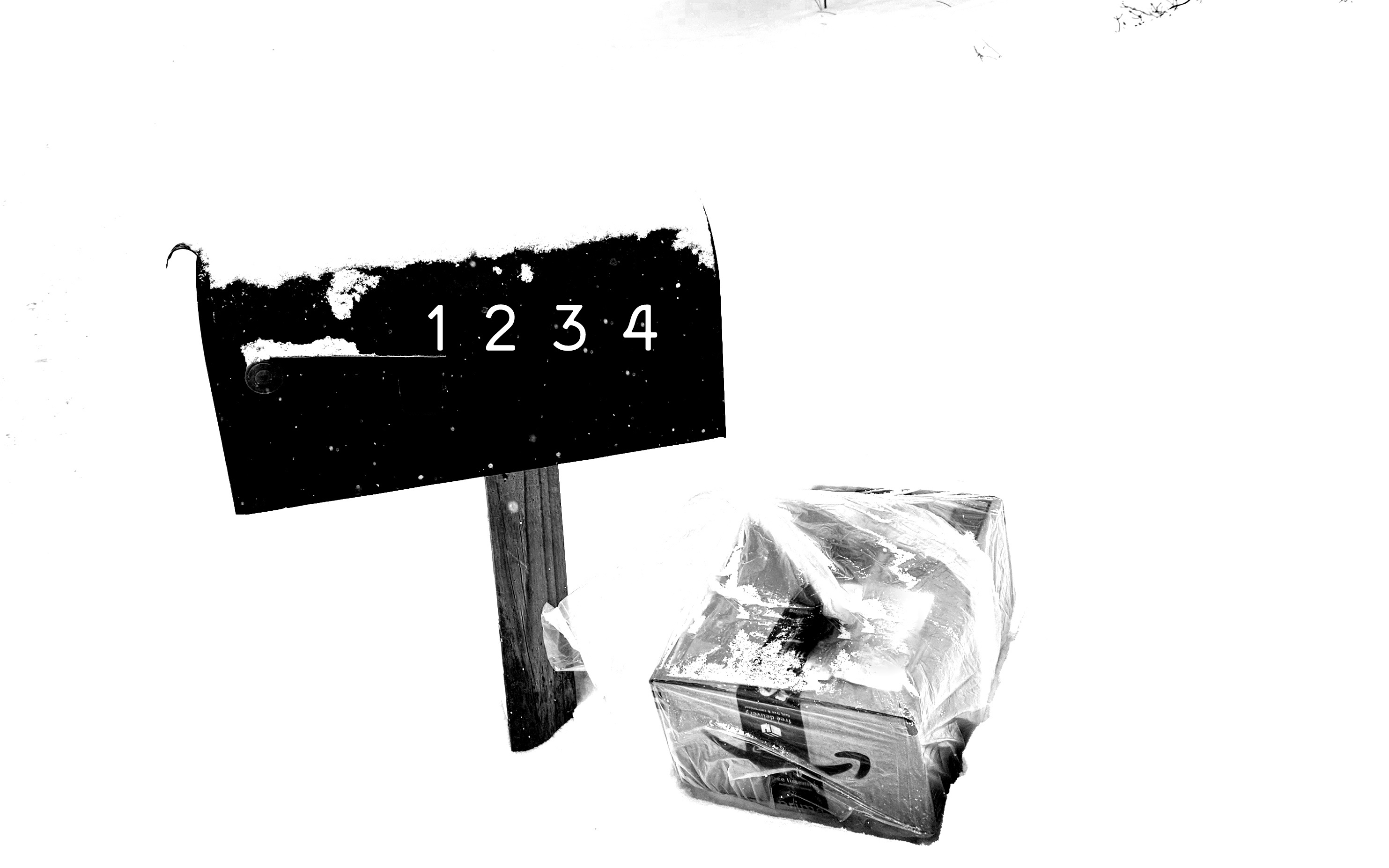 LINK FEST: 18 FEBRUARY 2025