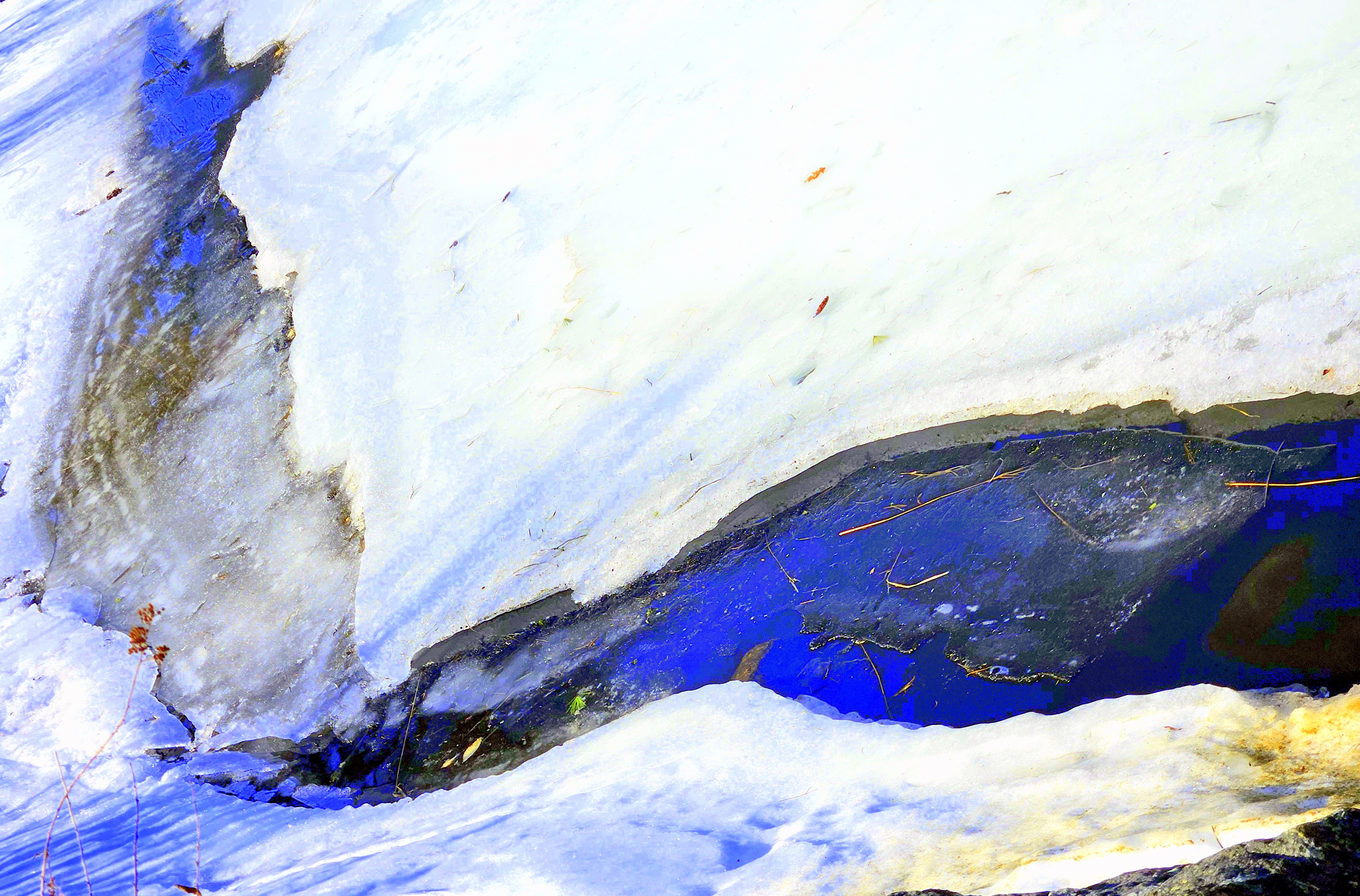 LIMINAL LIVING #63: 10 MARCH TO 16 MARCH 2025