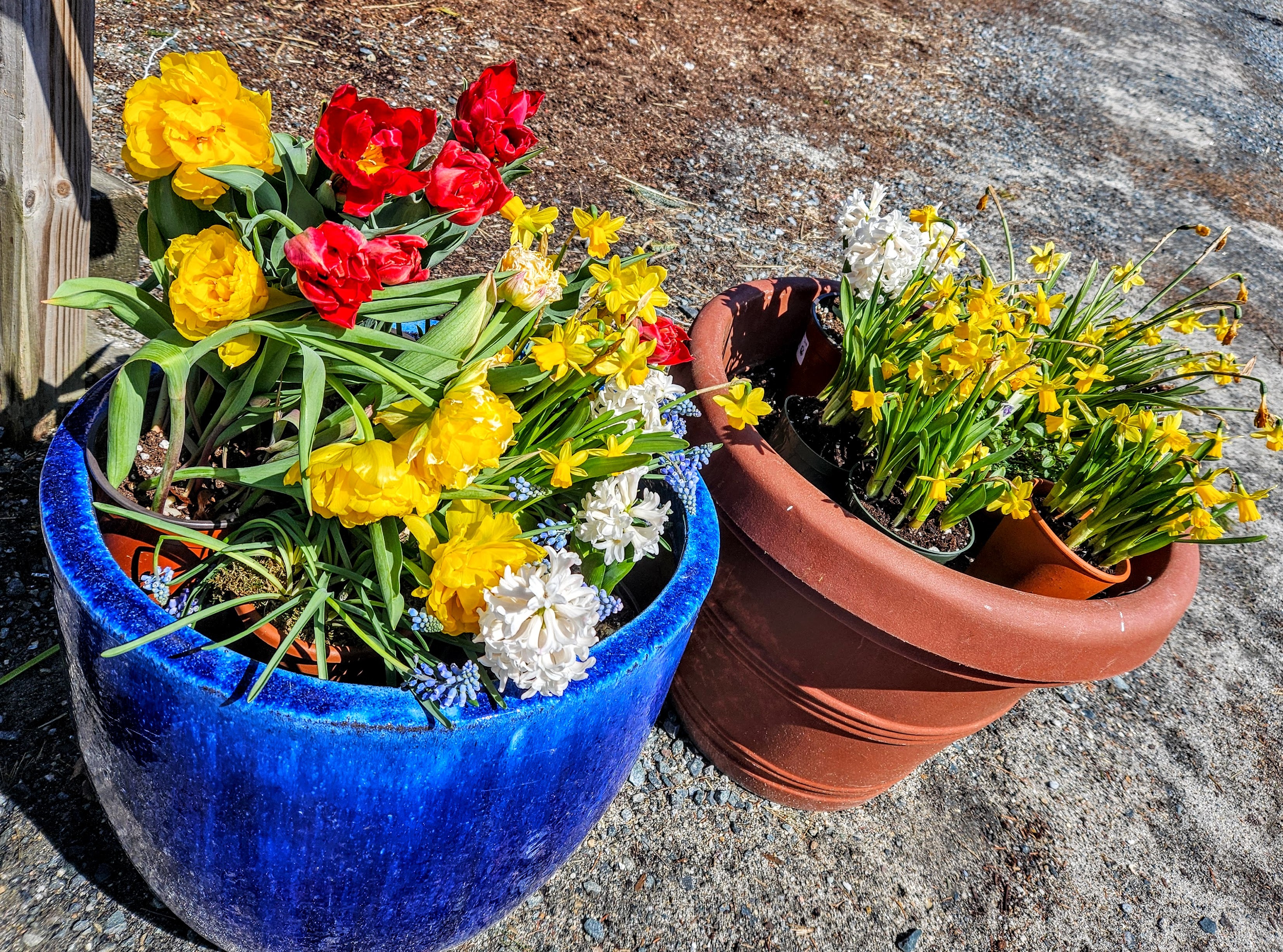 LIMINAL LIVING #66: 31 MARCH TO 6 APRIL 2025