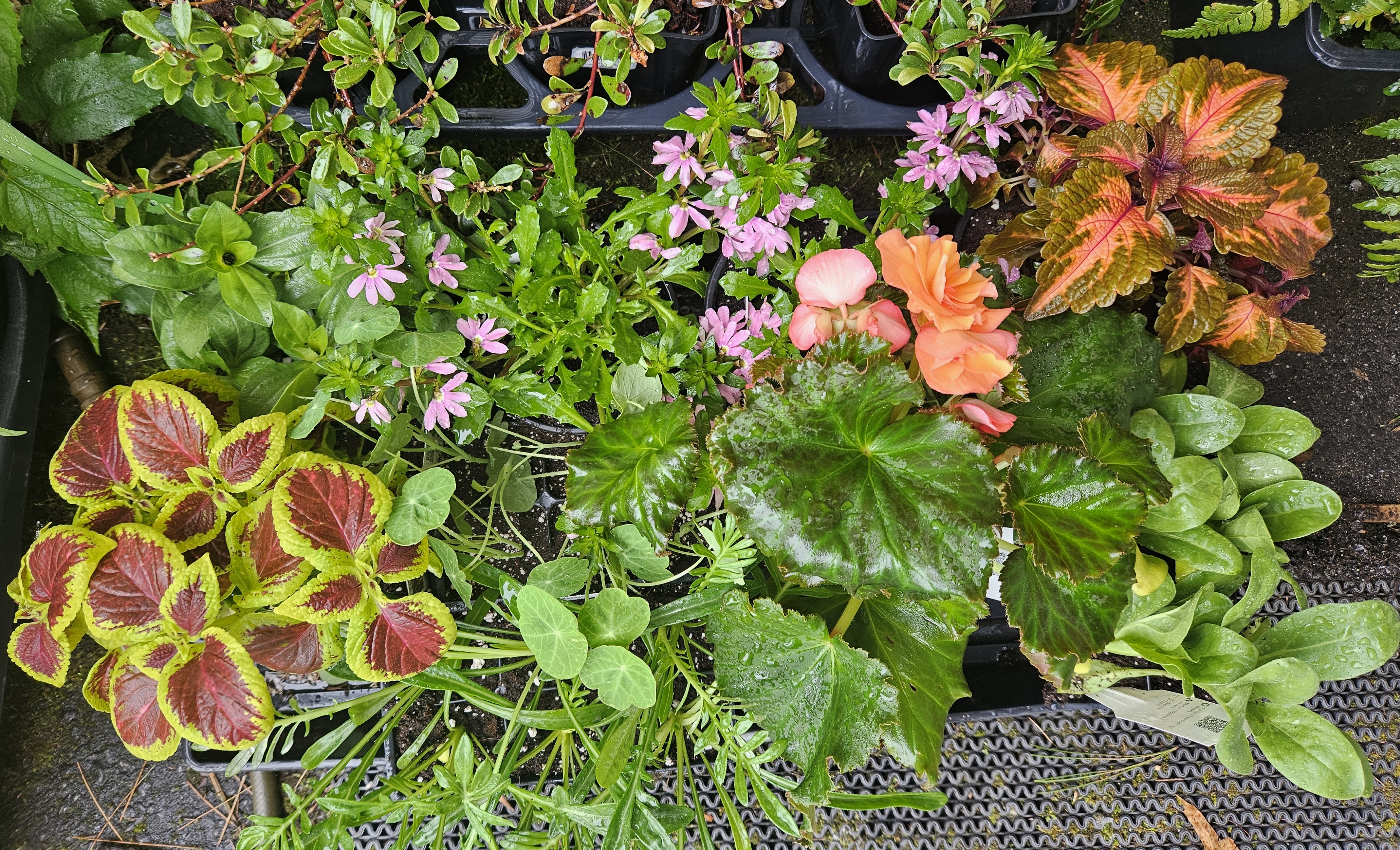 LIMINAL LIVING #72: 12 MAY TO 18 MAY 2025