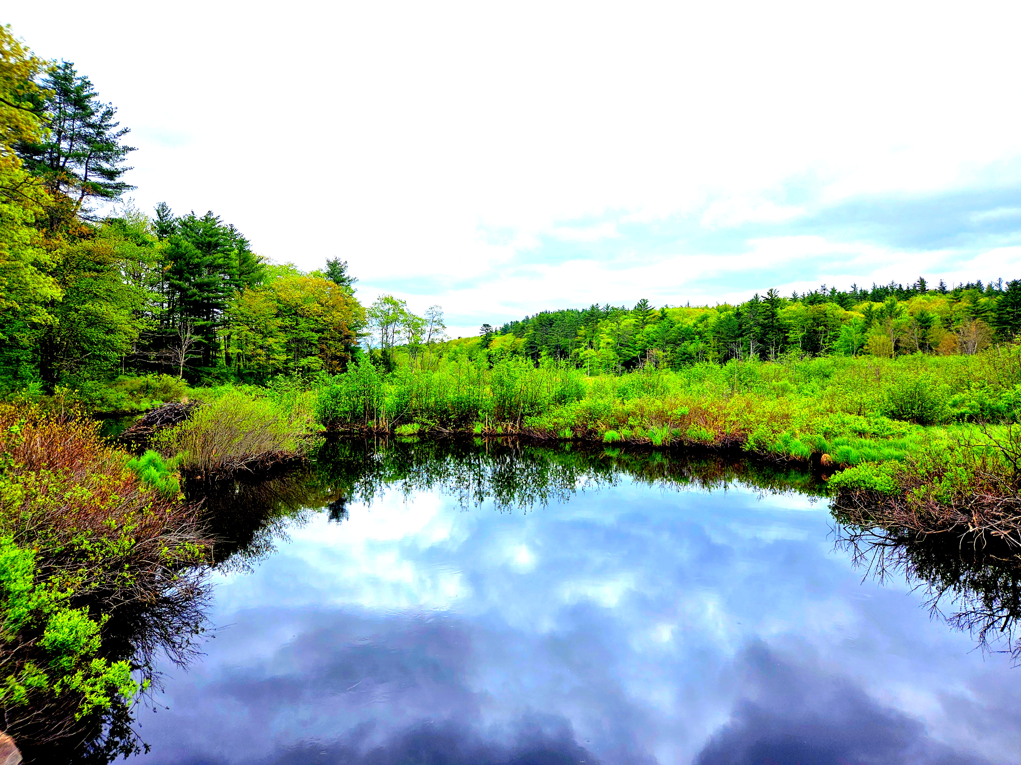 LINK FEST: 27 MAY 2025