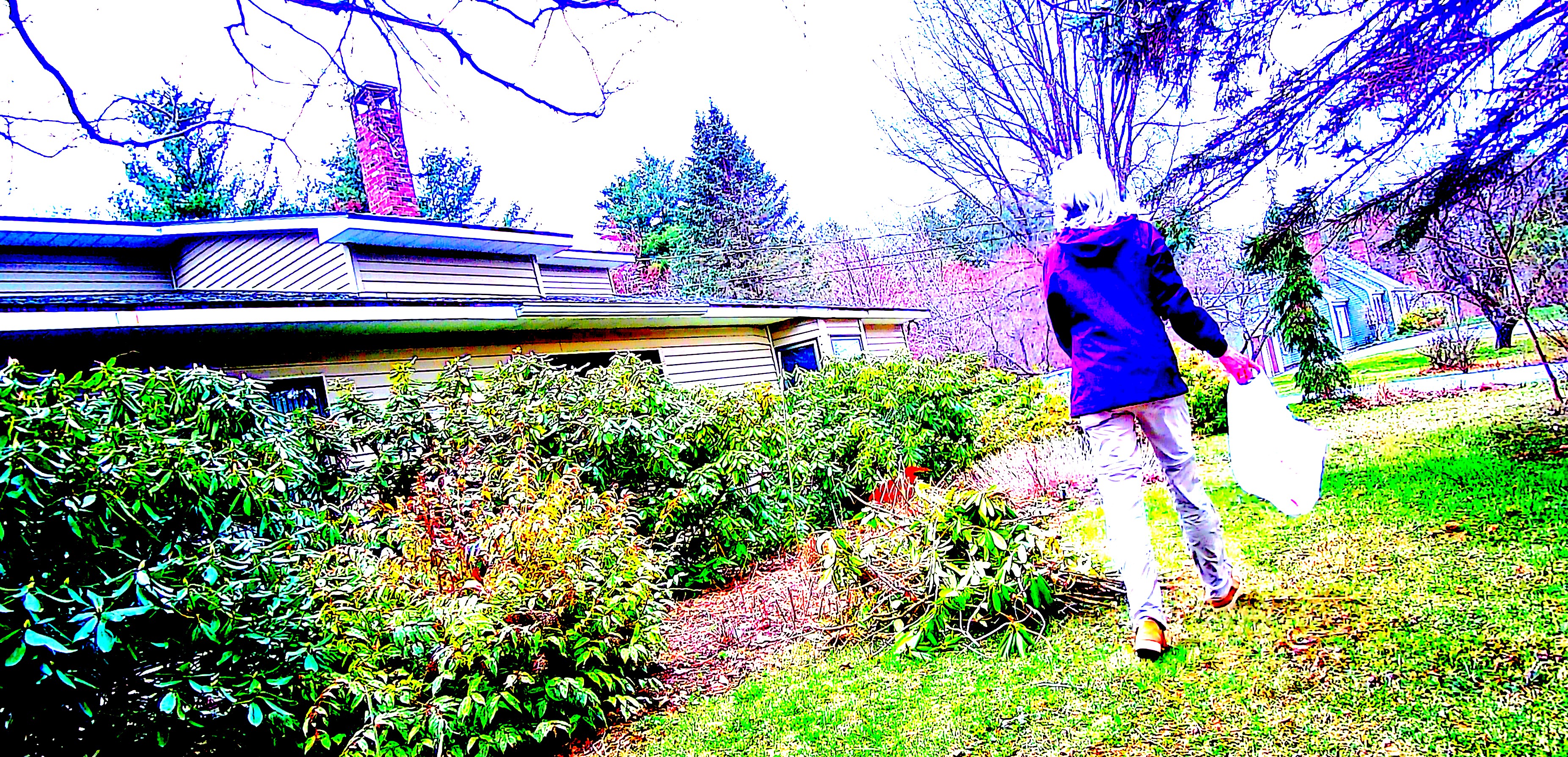 LIMINAL LIVING #69: 21 APRIL TO 27 APRIL 2025