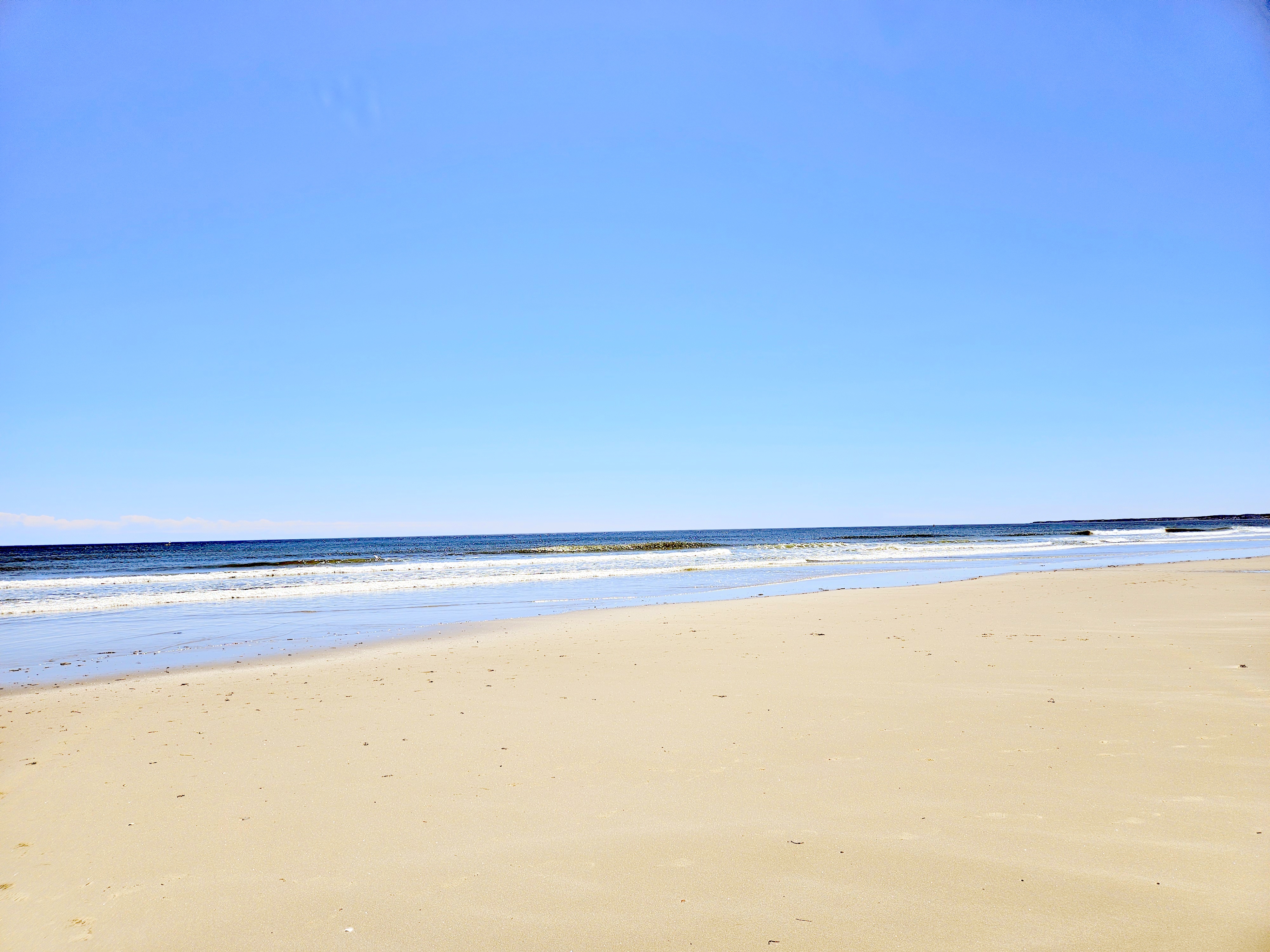 LINK FEST: 13 MAY 2025