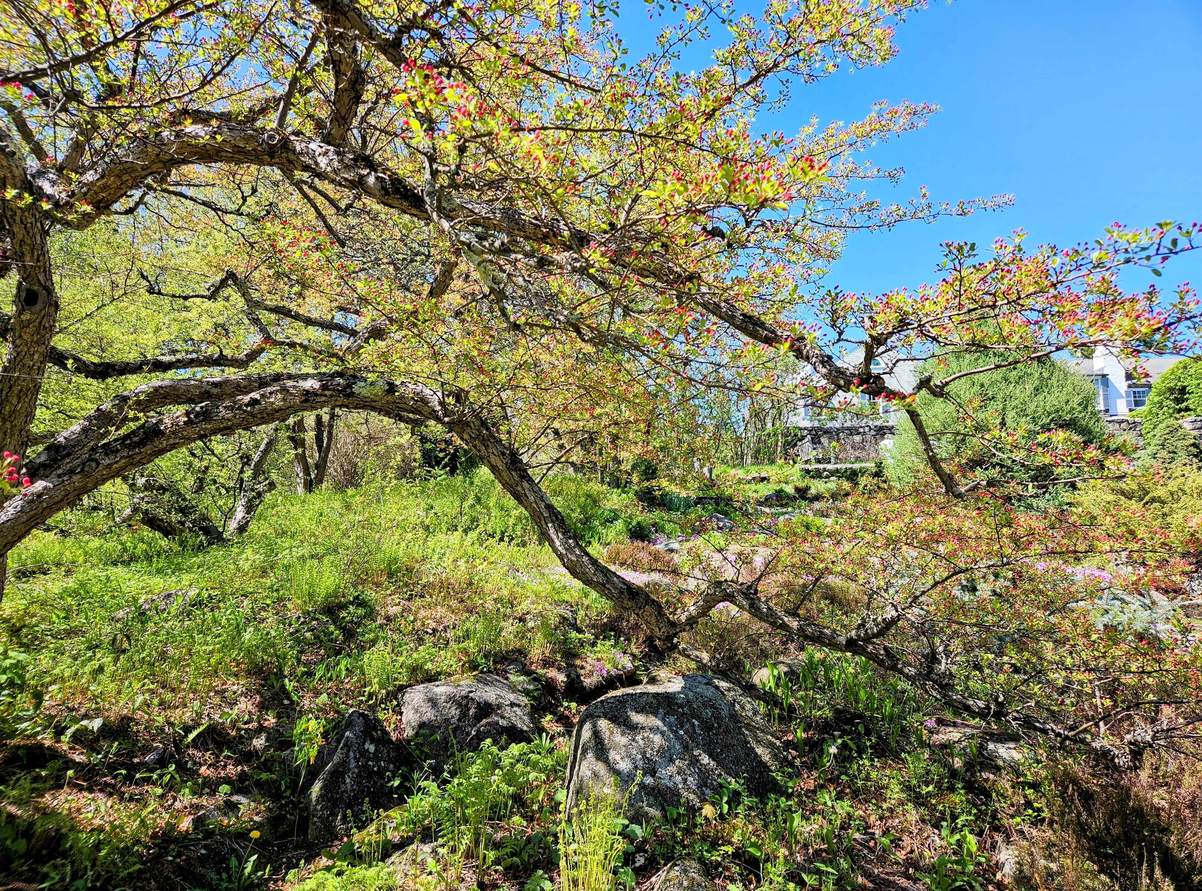 LIMINAL LIVING #71: 5 MAY TO 11 MAY 2025