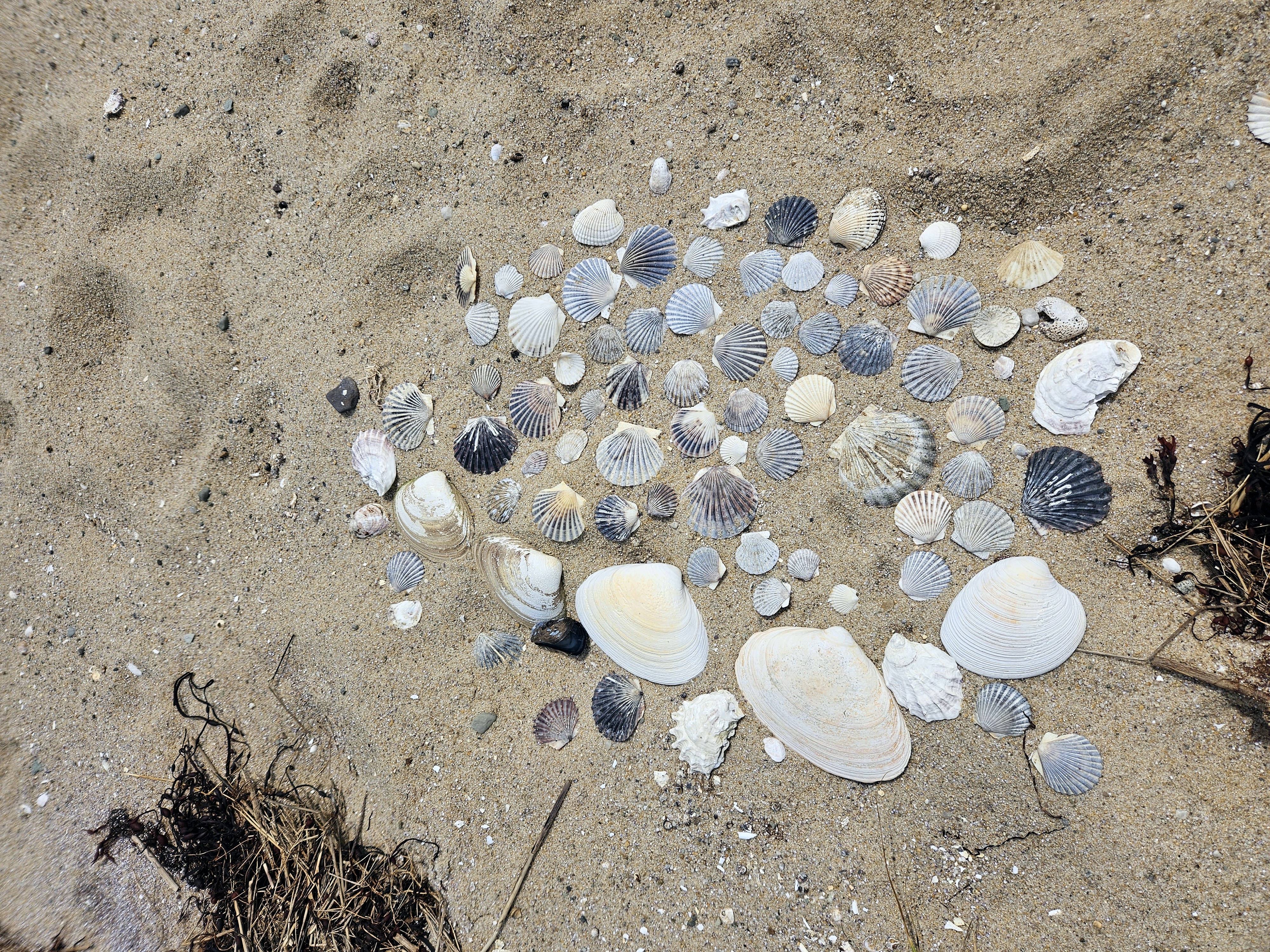 LINK FEST: 17 JUNE 2025