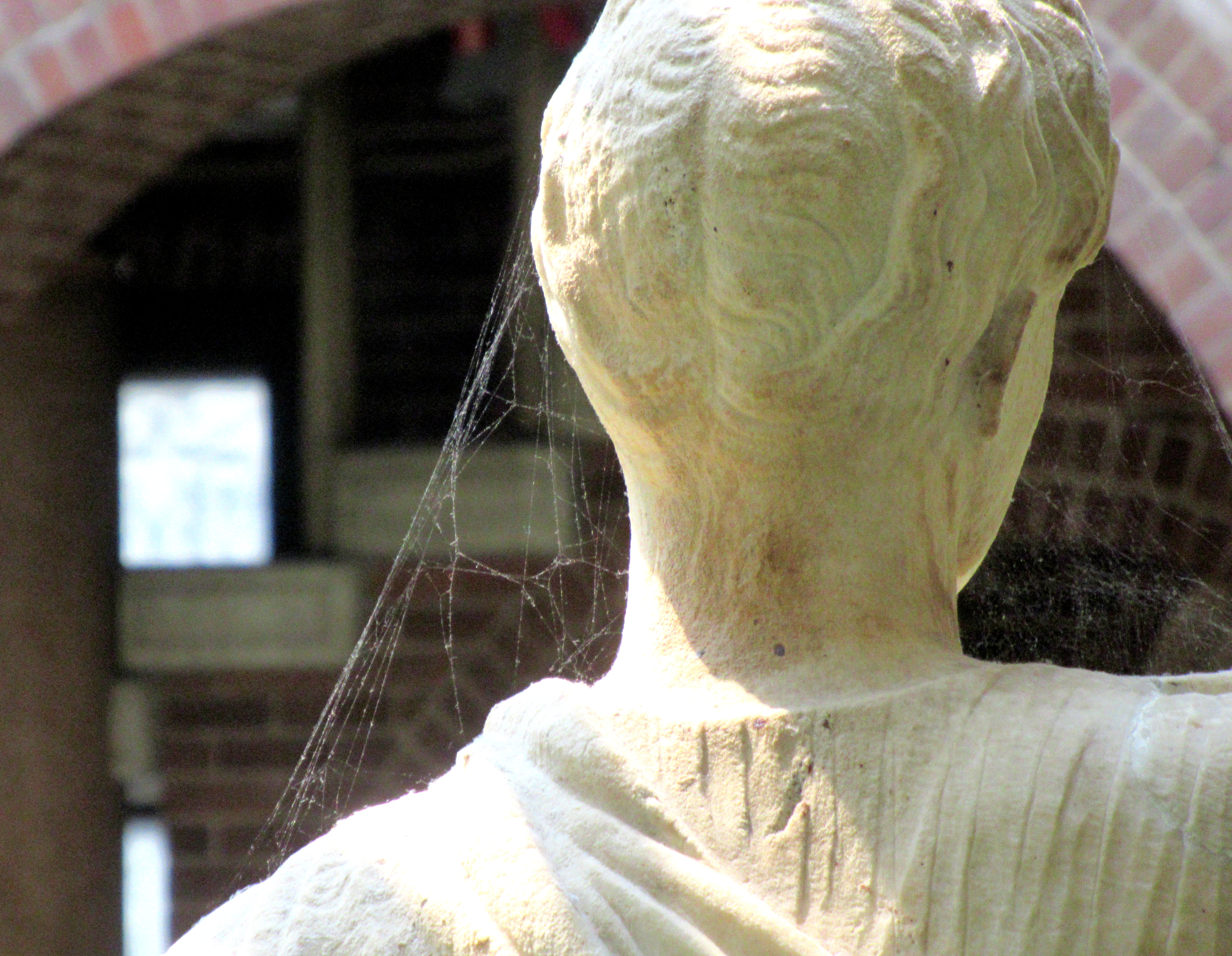 LINK FEST: 10 JUNE 2025