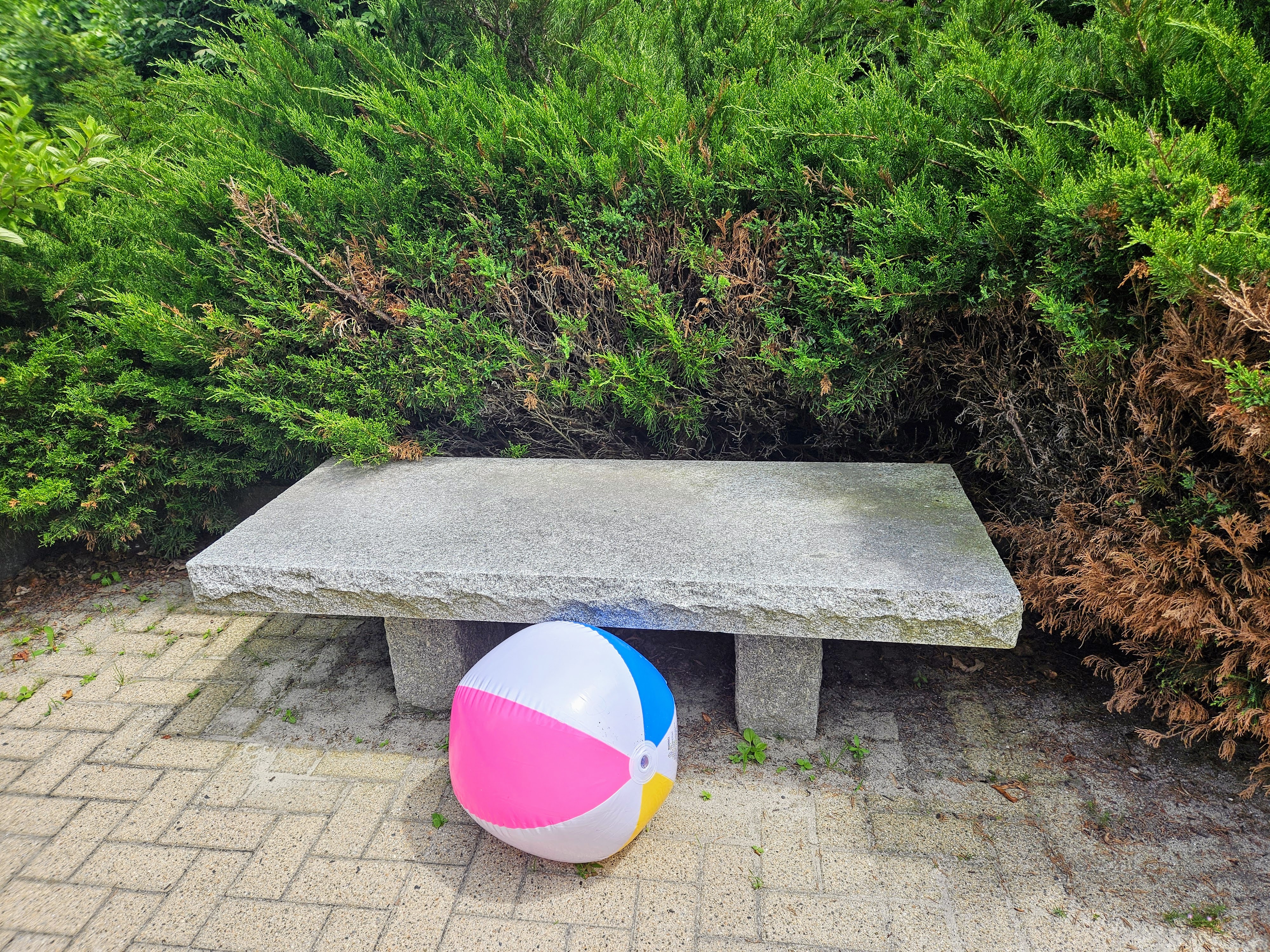 LINK FEST: 15 JULY 2025