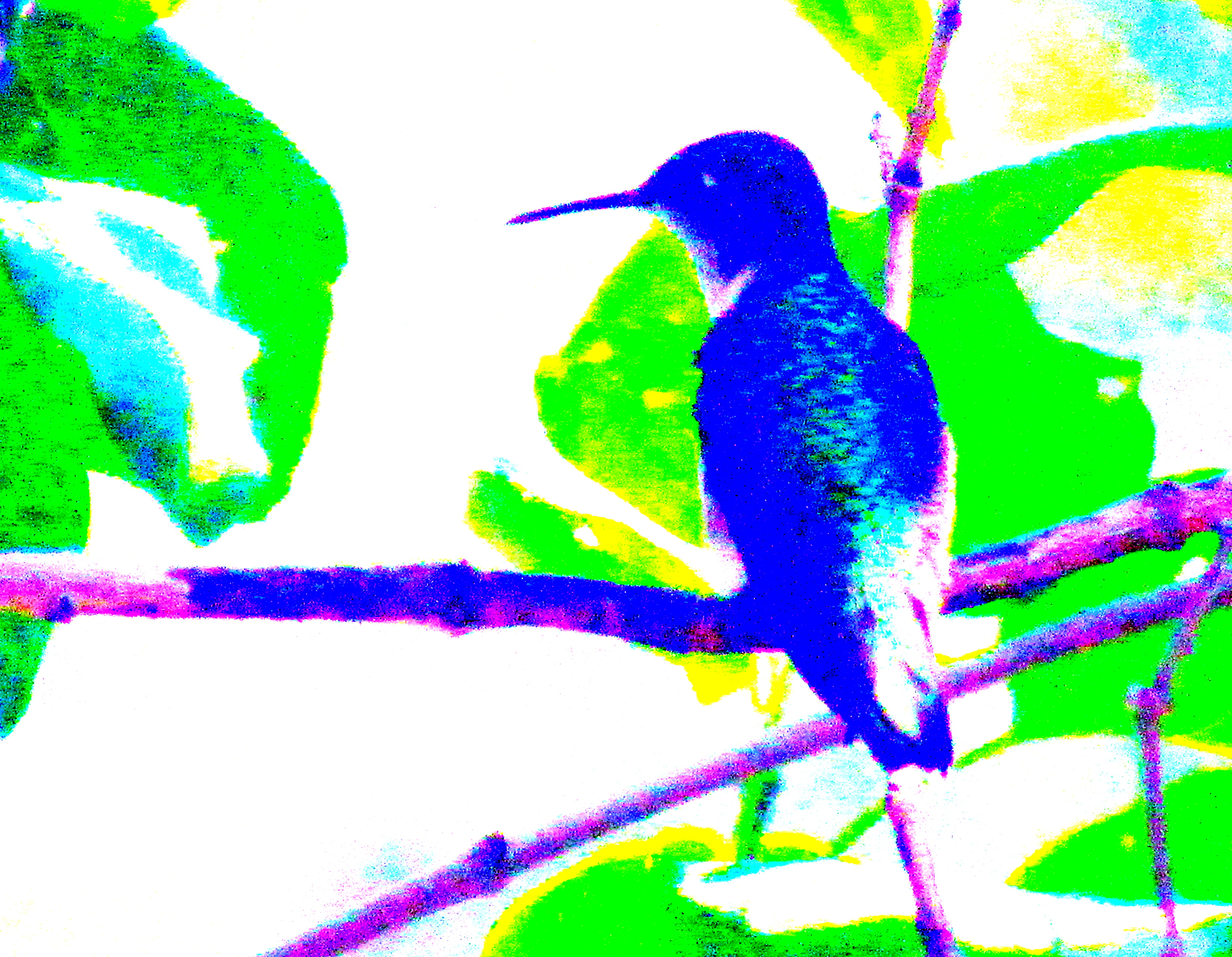 LINK FEST: 2 SEPTEMBER 2025