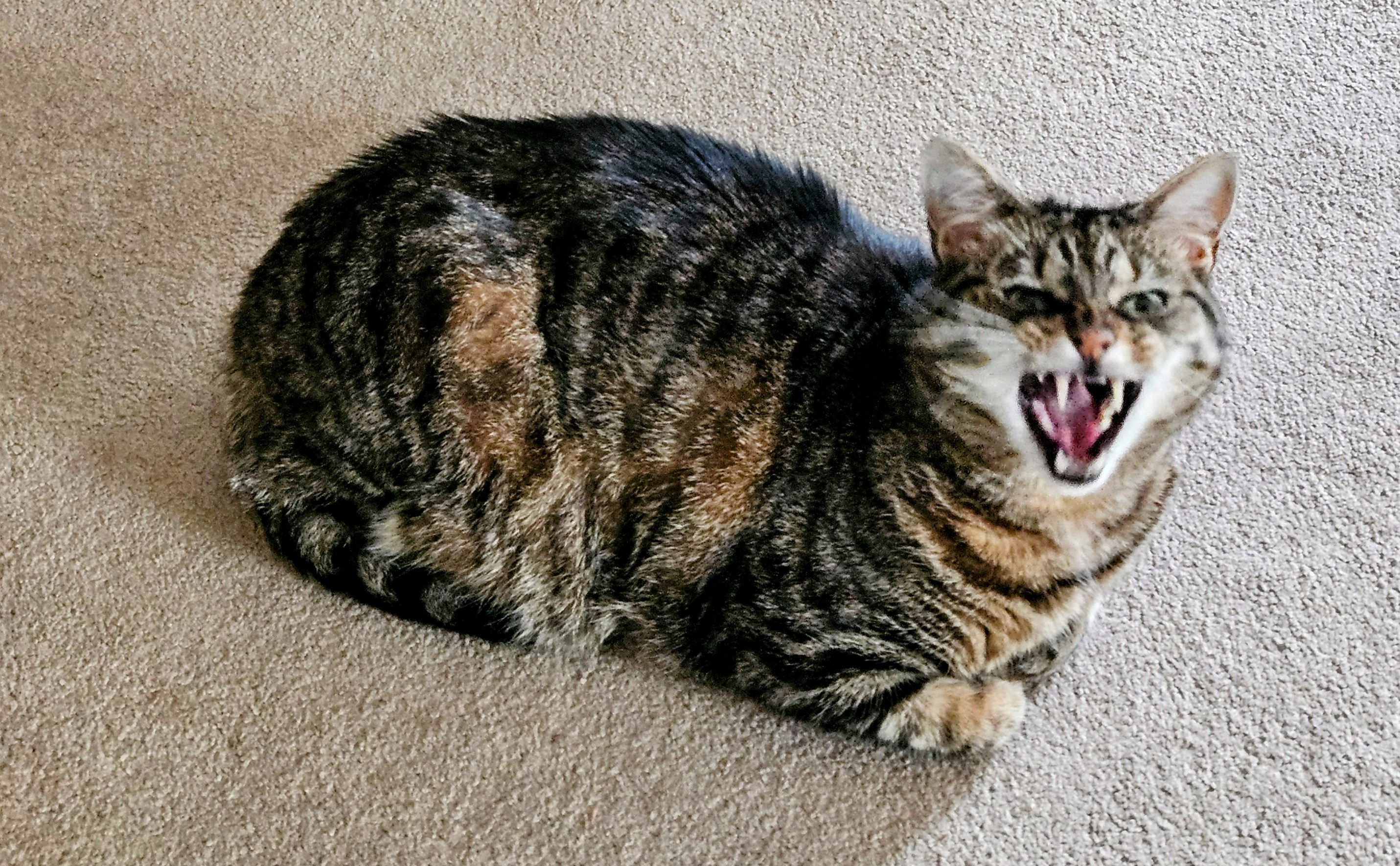 LIMINAL LIVING #88: 1 SEPTEMBER TO 7 SEPTEMBER 2025