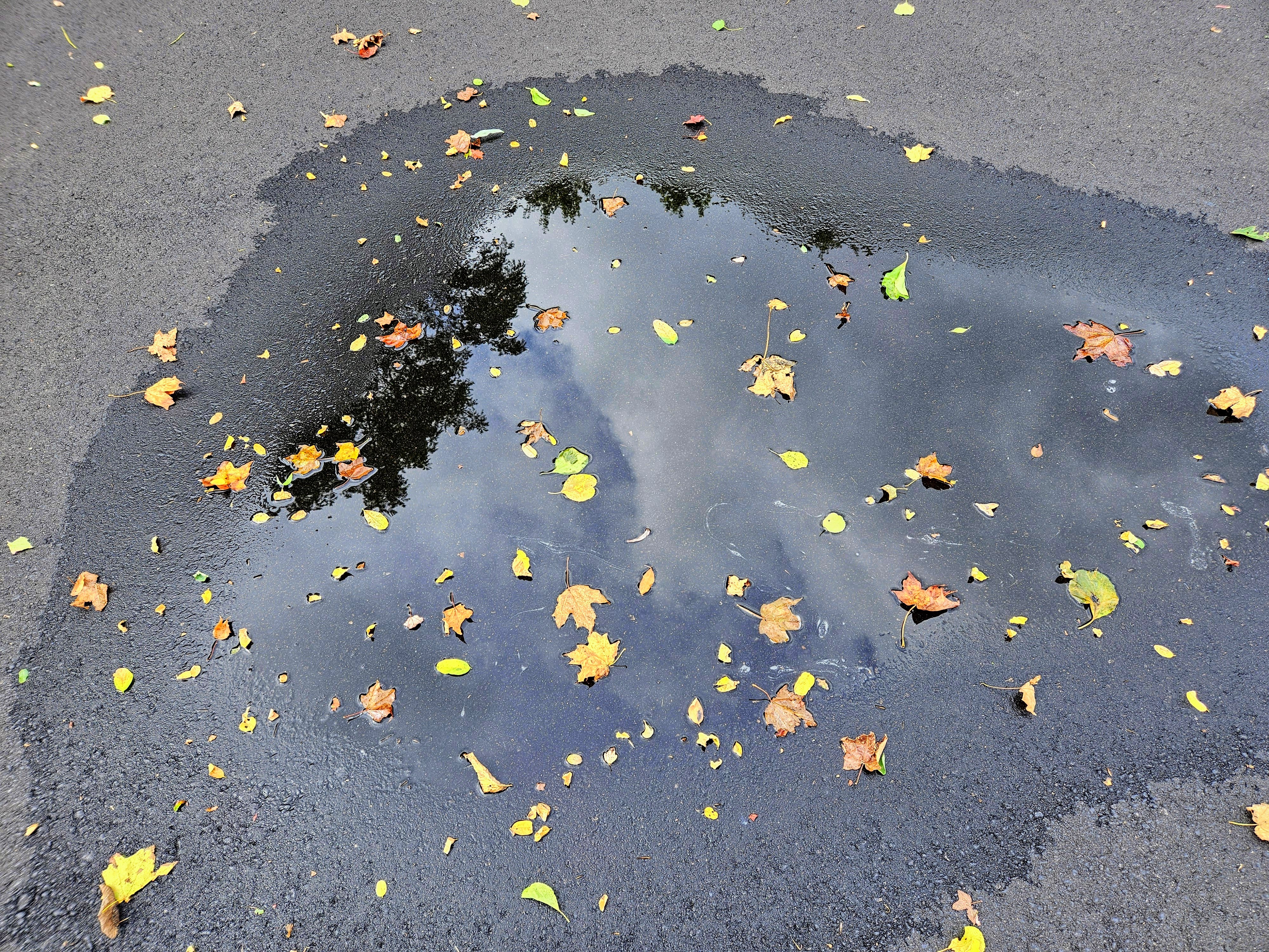 LINK FEST: 16 SEPTEMBER 2025