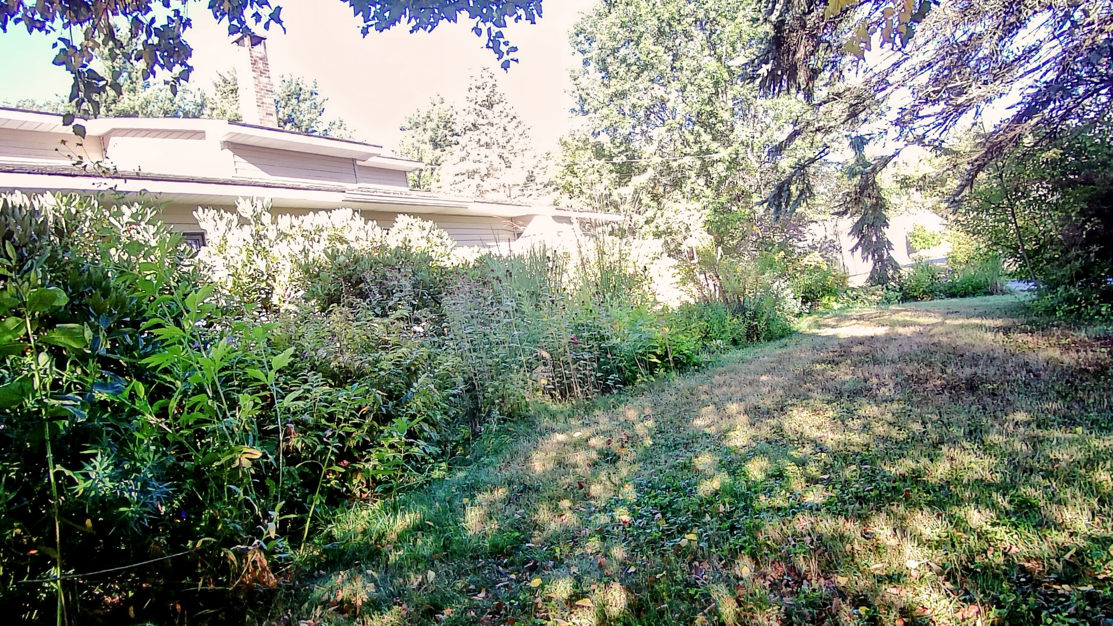 LINK FEST: 9 SEPTEMBER 2025