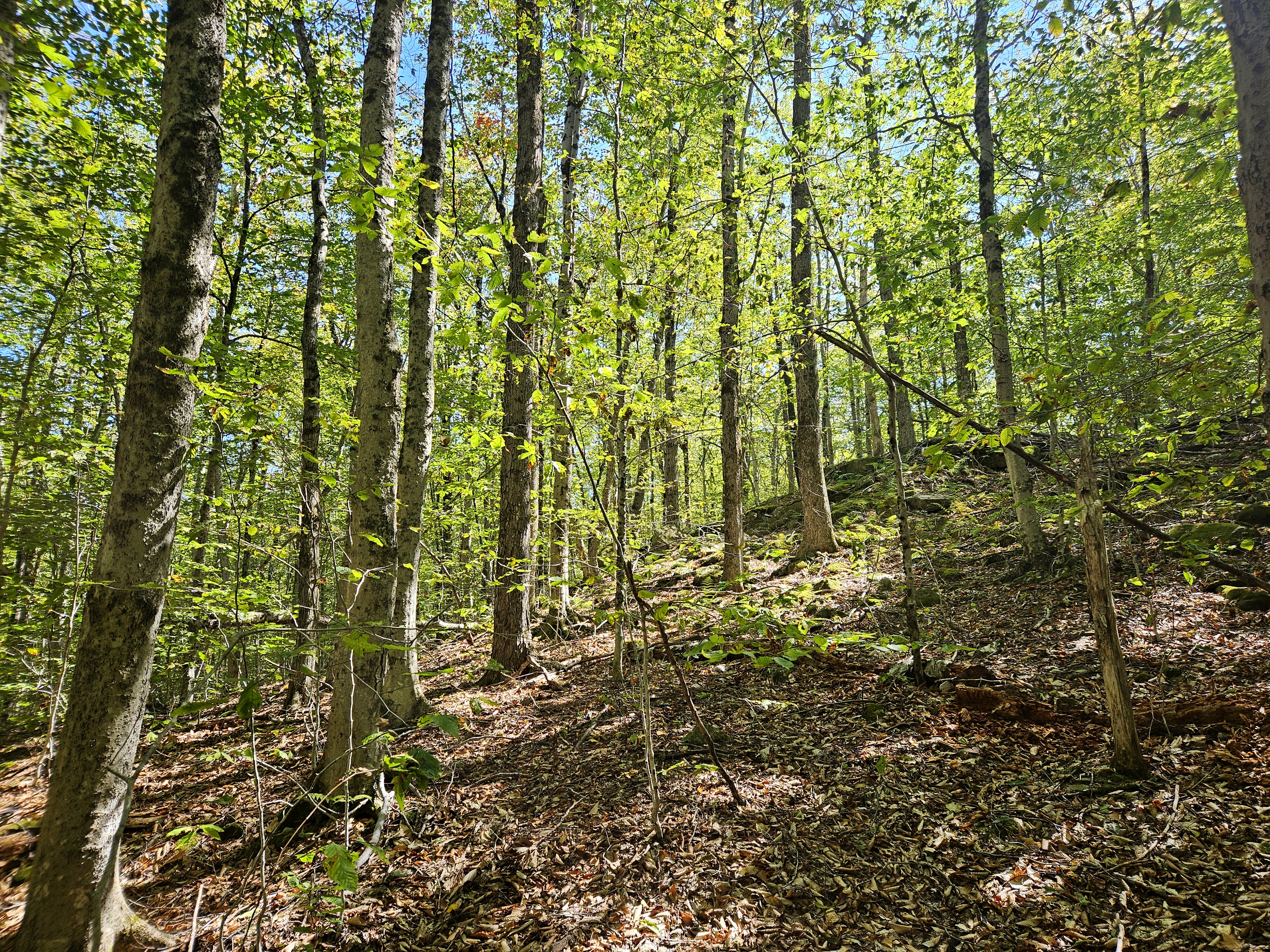 LIMINAL LIVING #89: 8 SEPTEMBER TO 14 SEPTEMBER