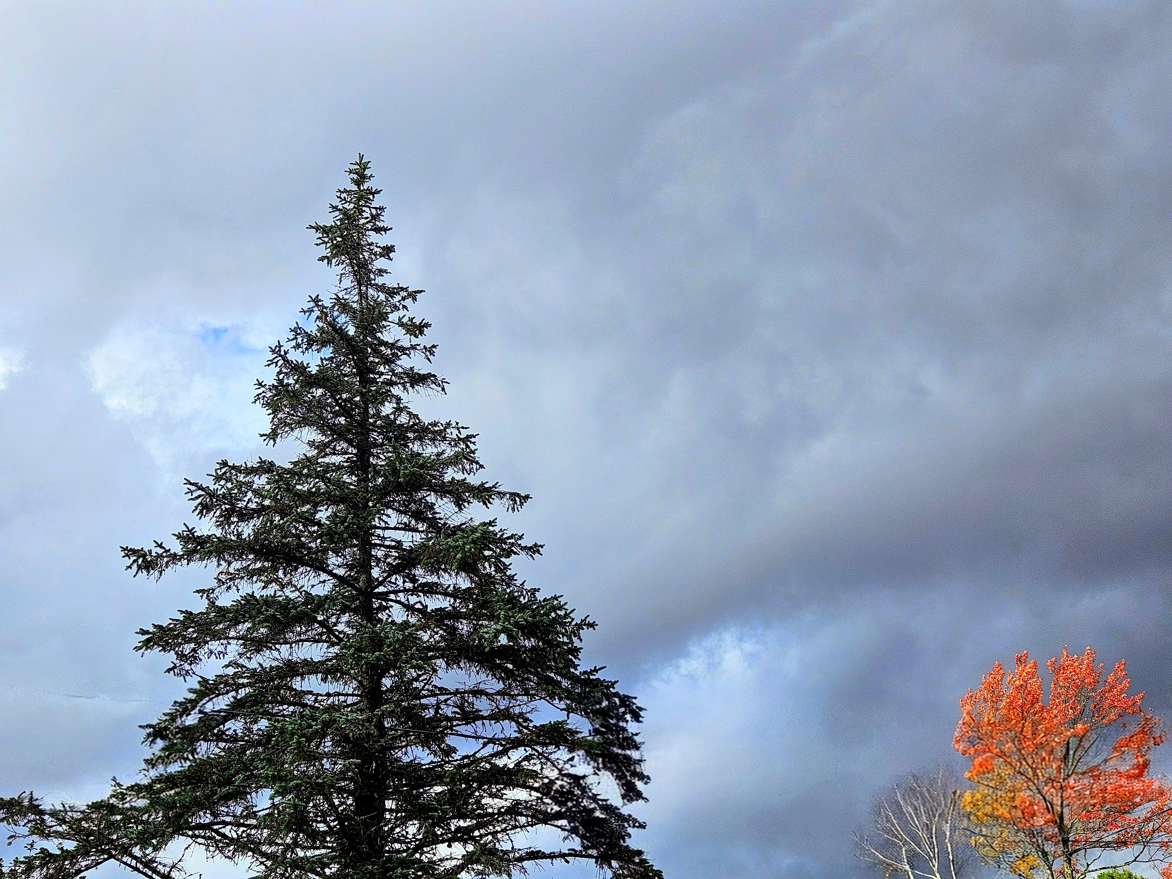 LIMINAL LIVING #95: 20 OCTOBER TO 26 OCTOBER 2025