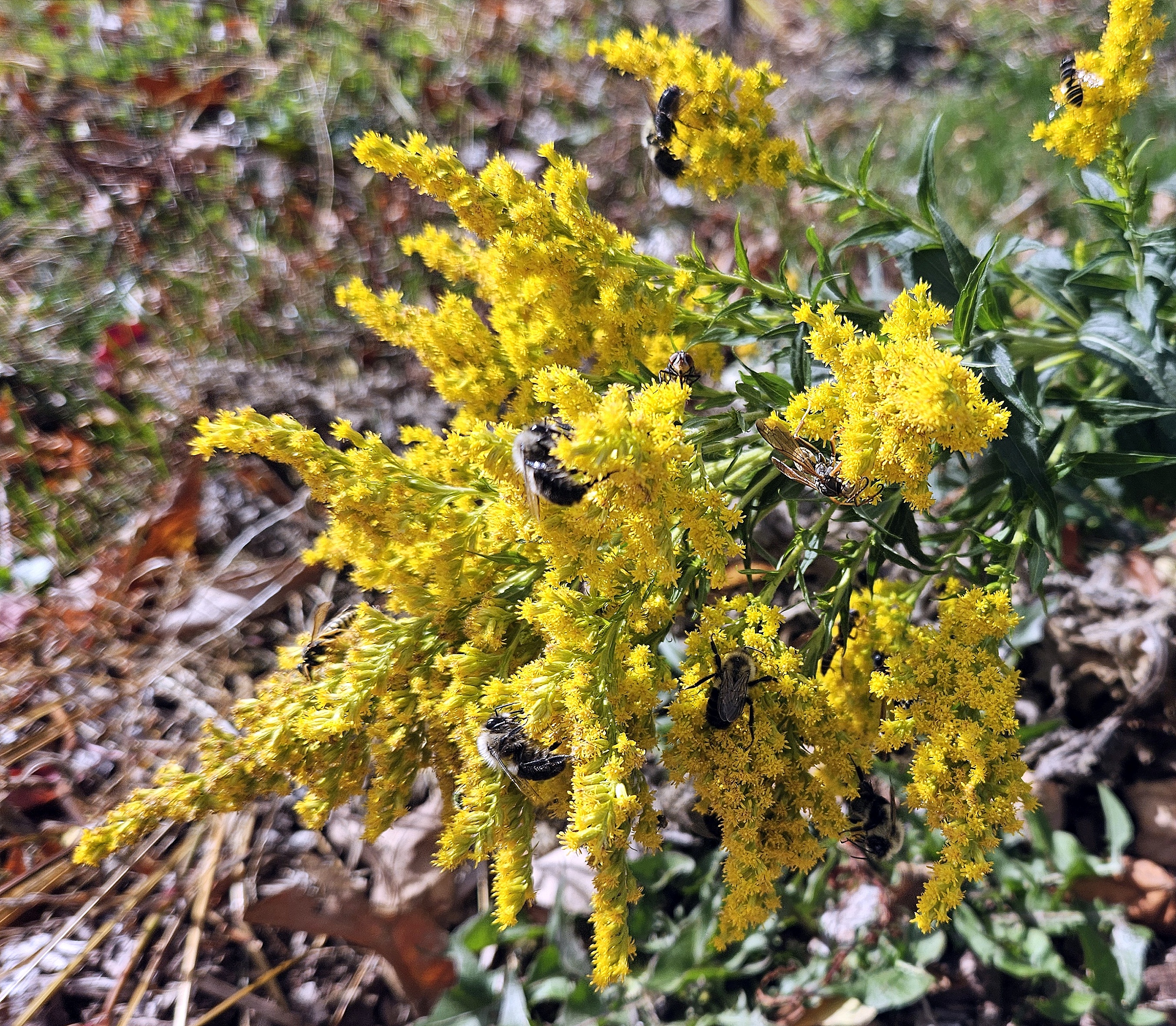 LIMINAL LIVING #94: 13 OCTOBER TO 19 OCTOBER 2025