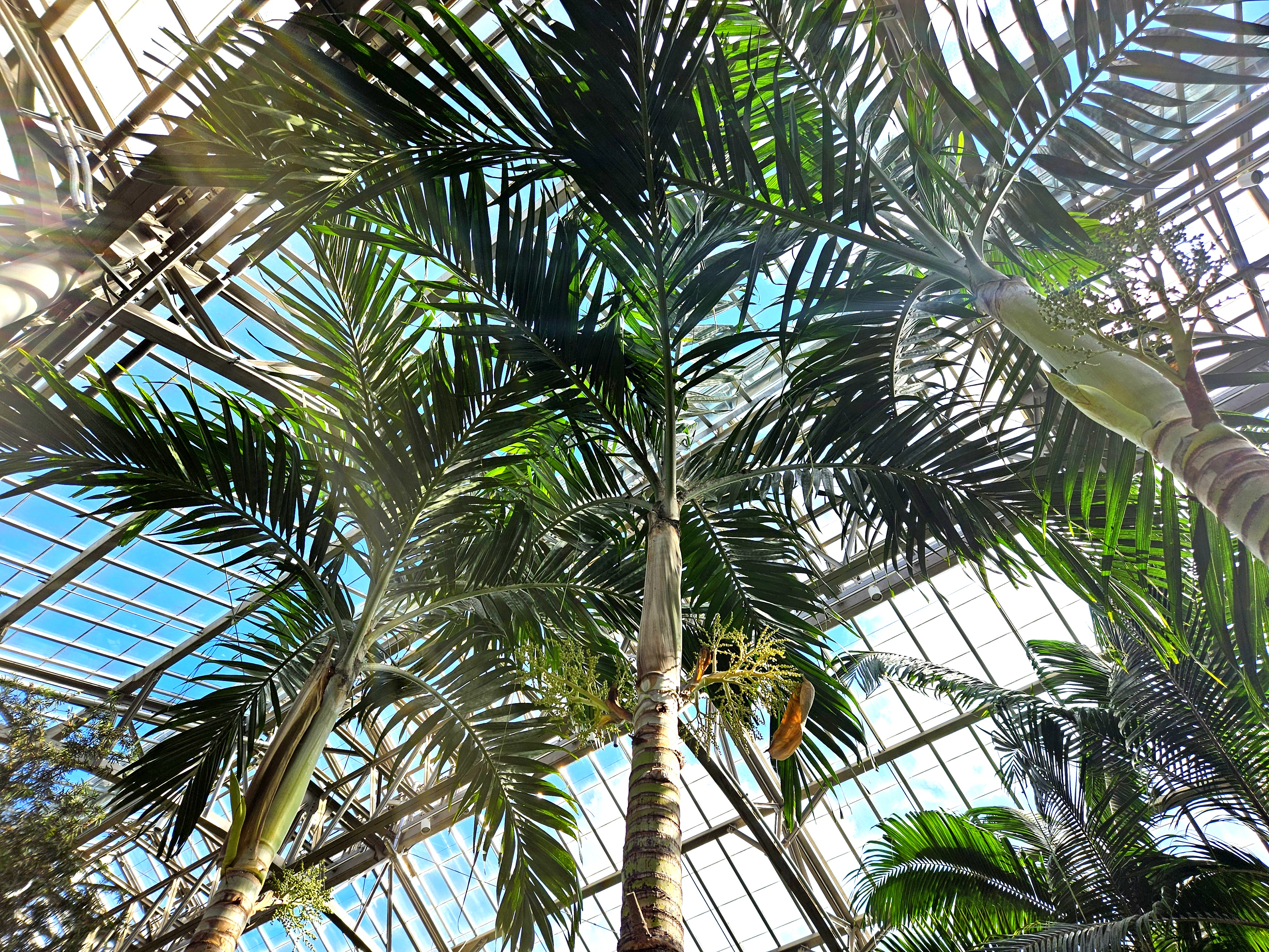 LIMINAL LIVING #93: 6 OCTOBER TO 12 OCTOBER 2025