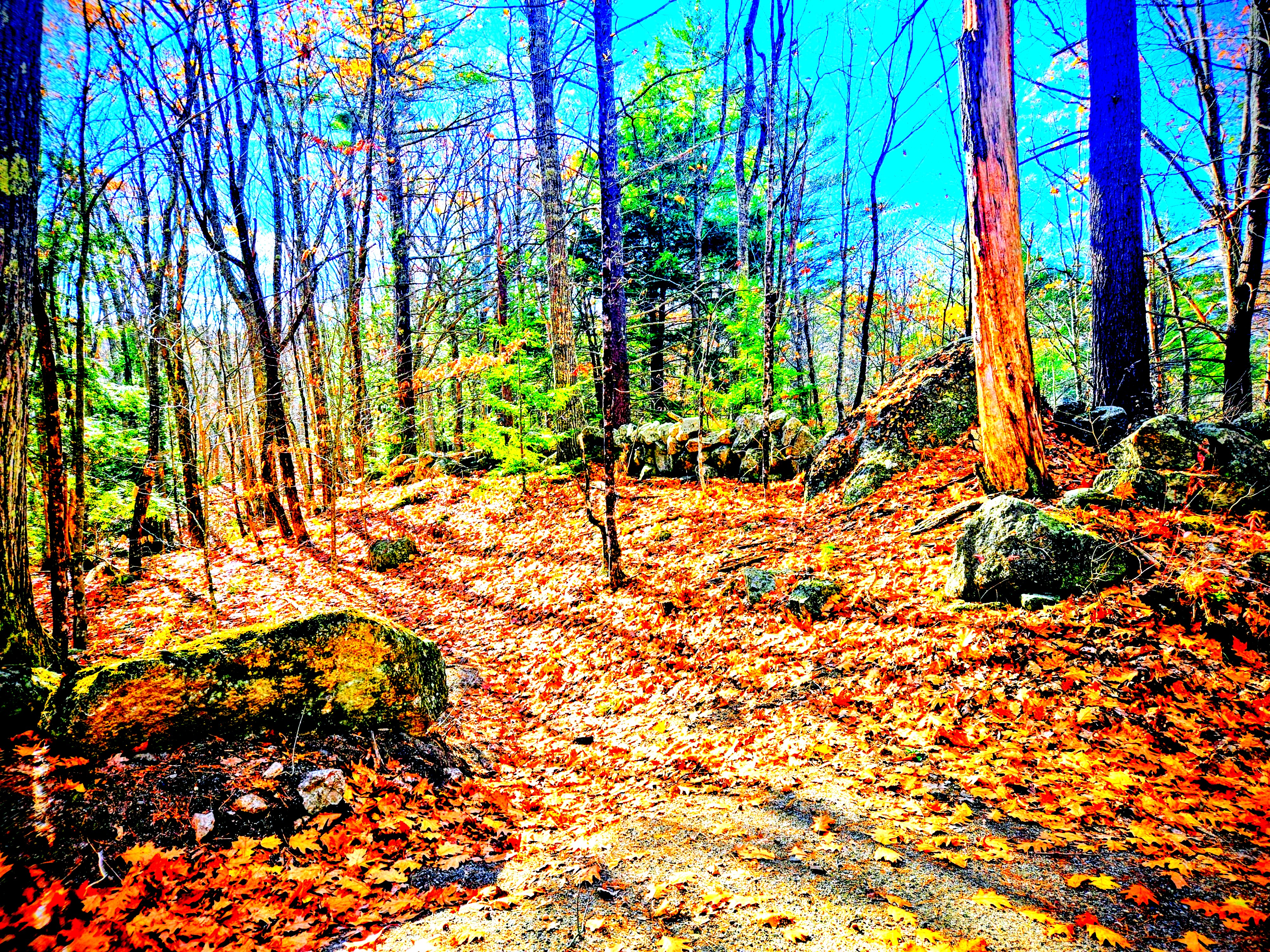 LIMINAL LIVING #97: 3 NOVEMBER TO 9 NOVEMBER 2025