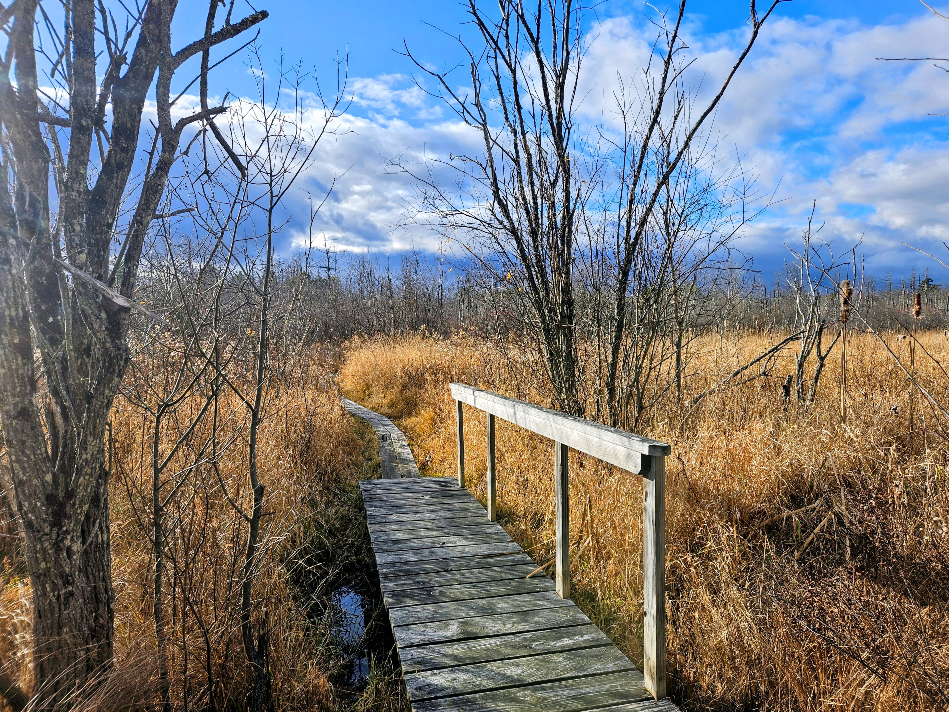 LIMINAL LIVING #98: 10 NOVEMBER TO 16 NOVEMBER 2025