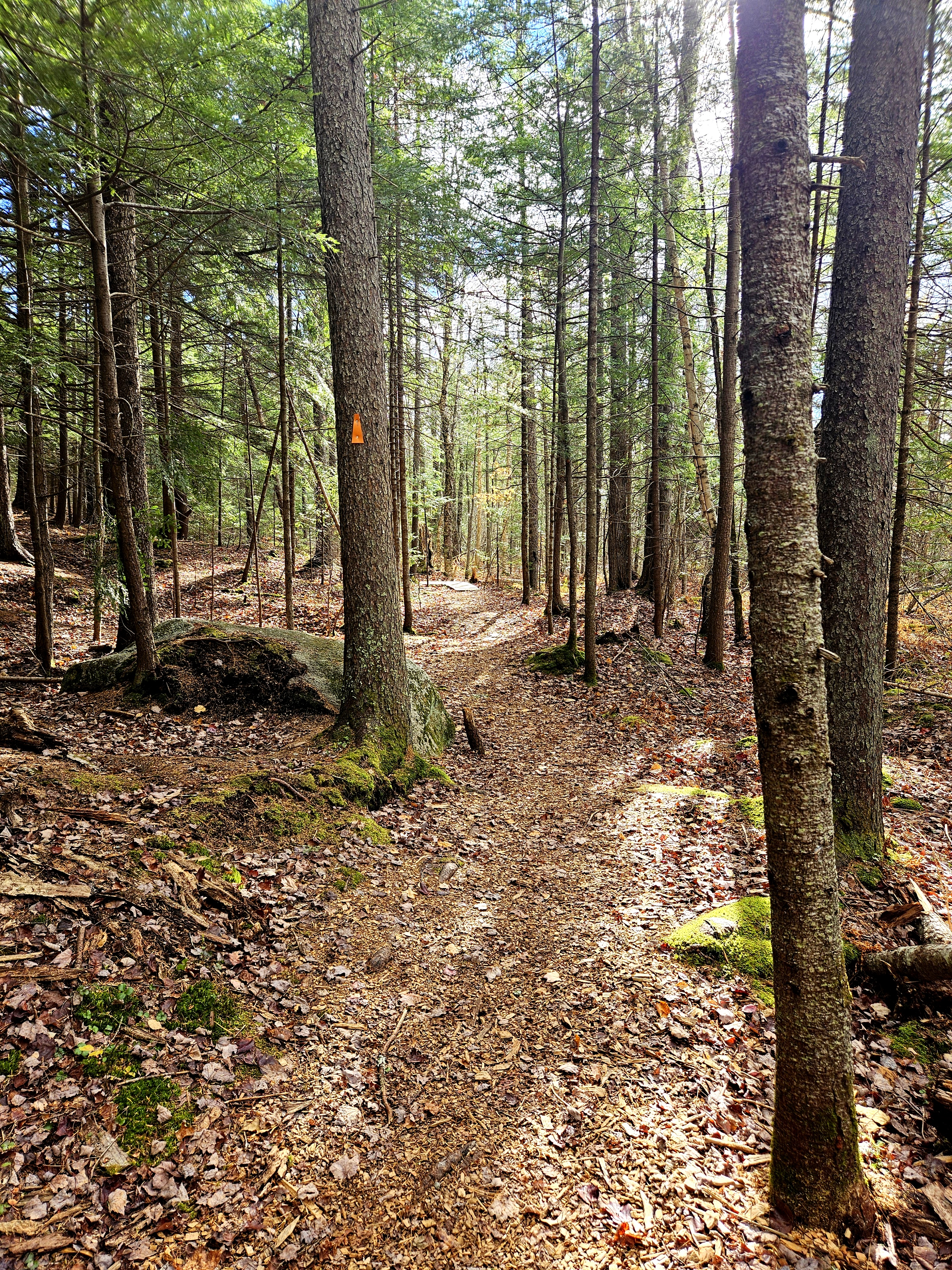 LIMINAL LIVING #96: 27 OCTOBER TO 2 NOVEMBER 2025