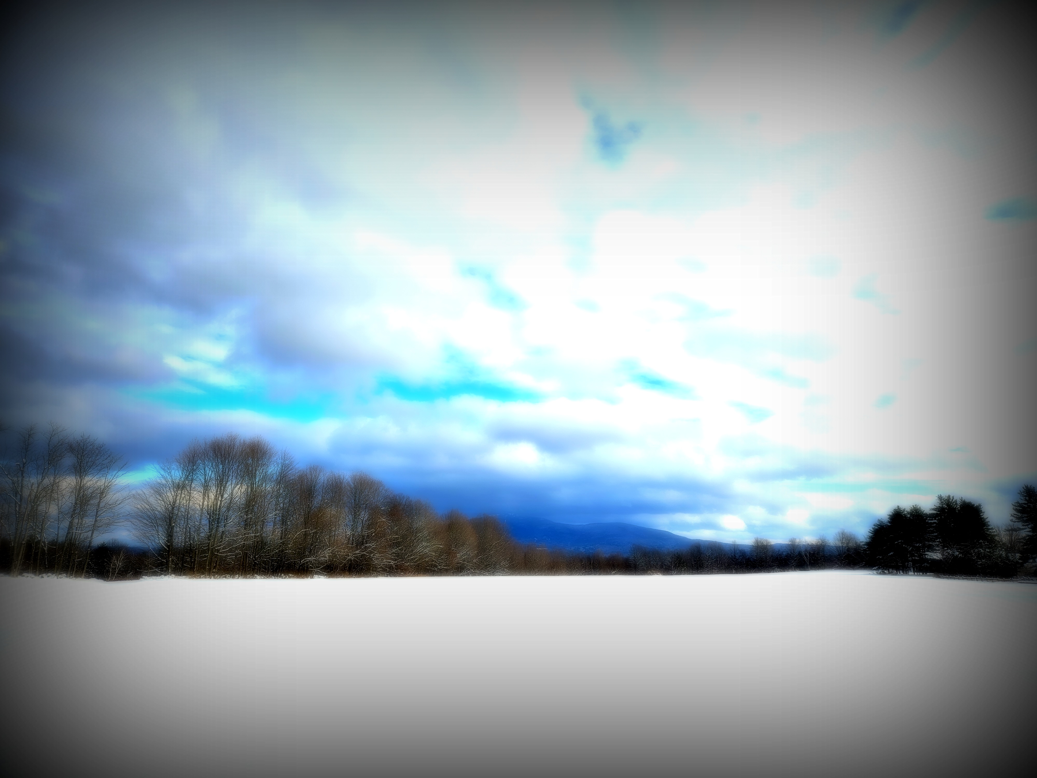 LINK FEST: 20 JANUARY 2025