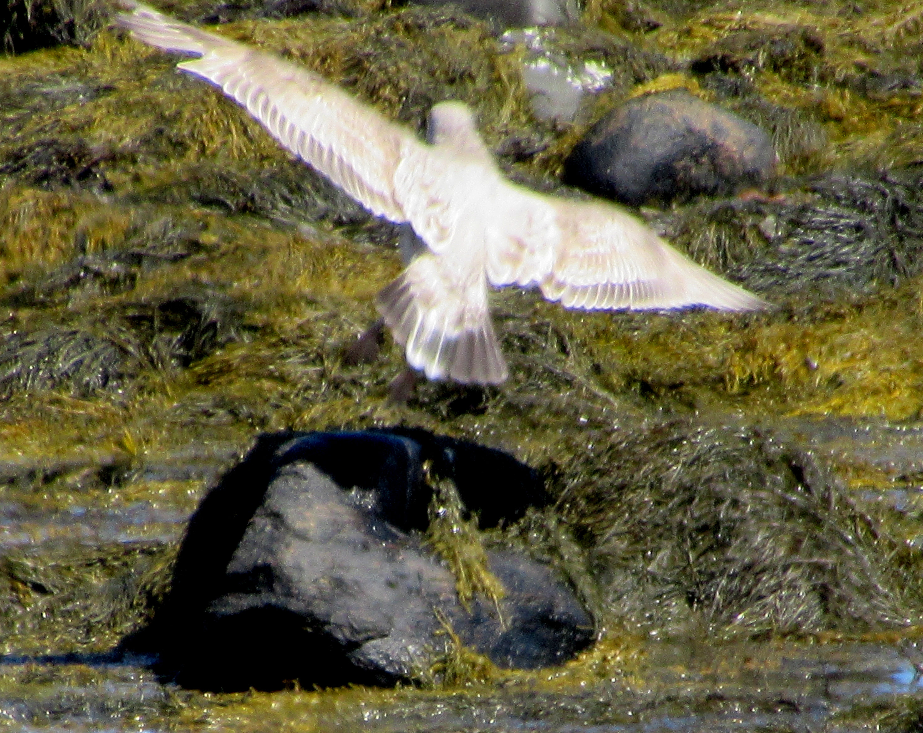 LINK FEST: 3 FEBRUARY 2026