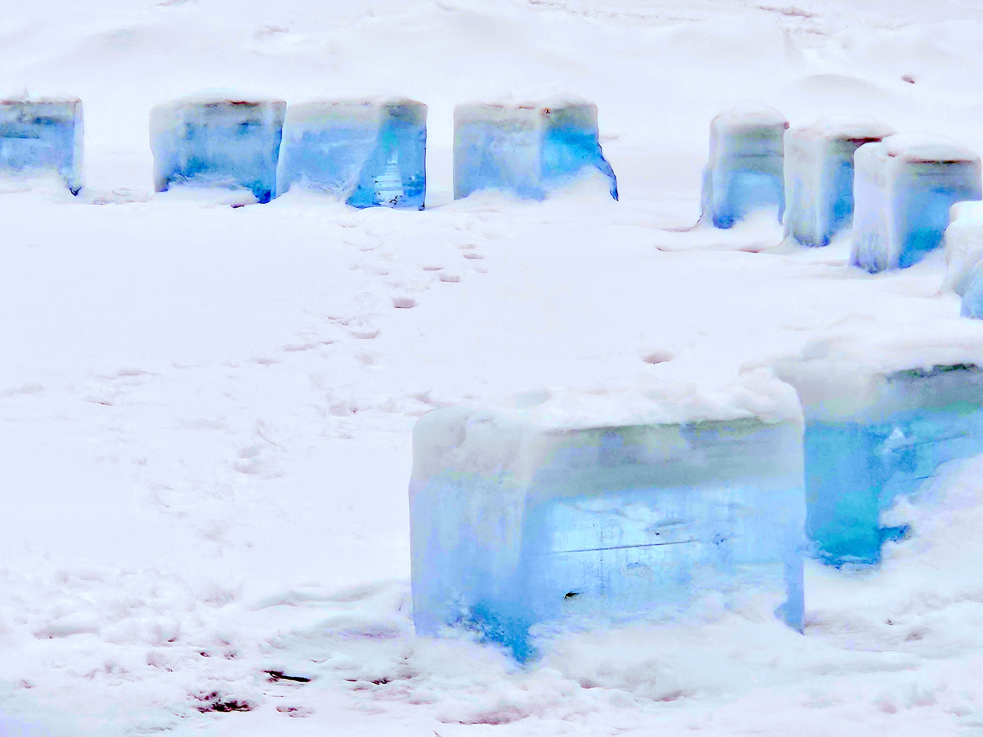 LIMINAL LIVING #112: 16 FEBRUARY TO 22 FEBRUARY 2026