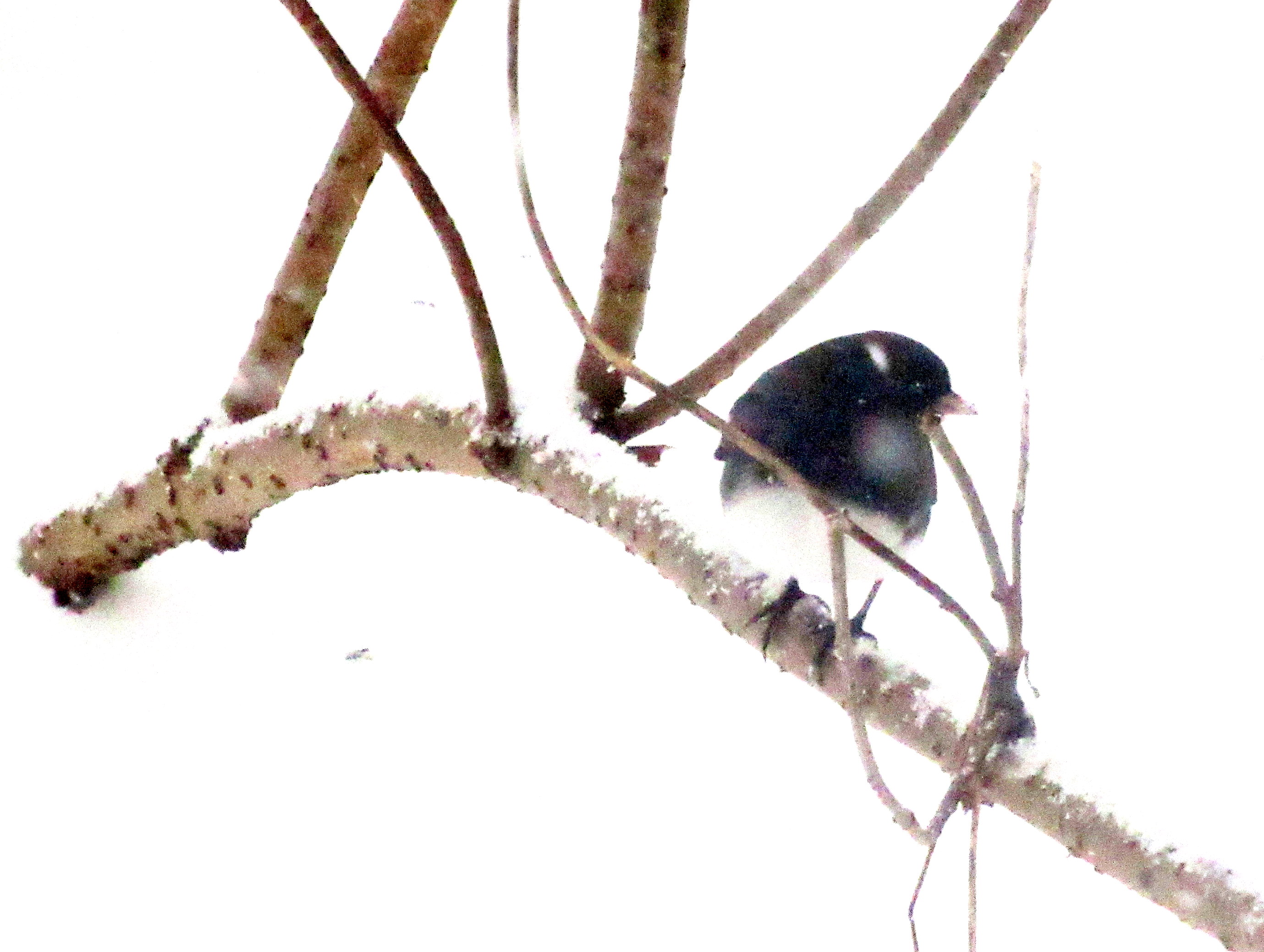 LINK FEST: 10 FEBRUARY 2026