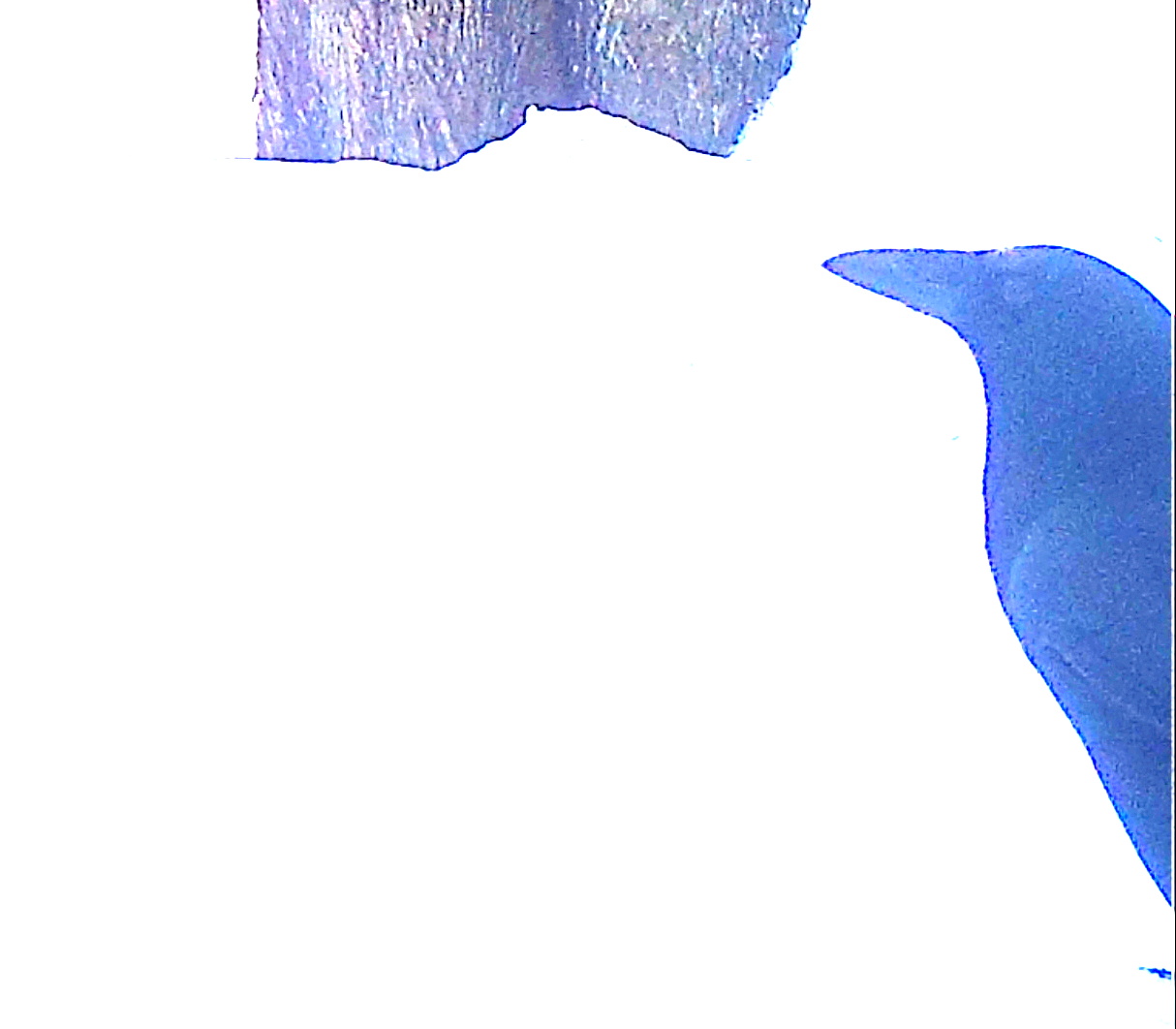 LINK FEST: 24 MARCH 2026