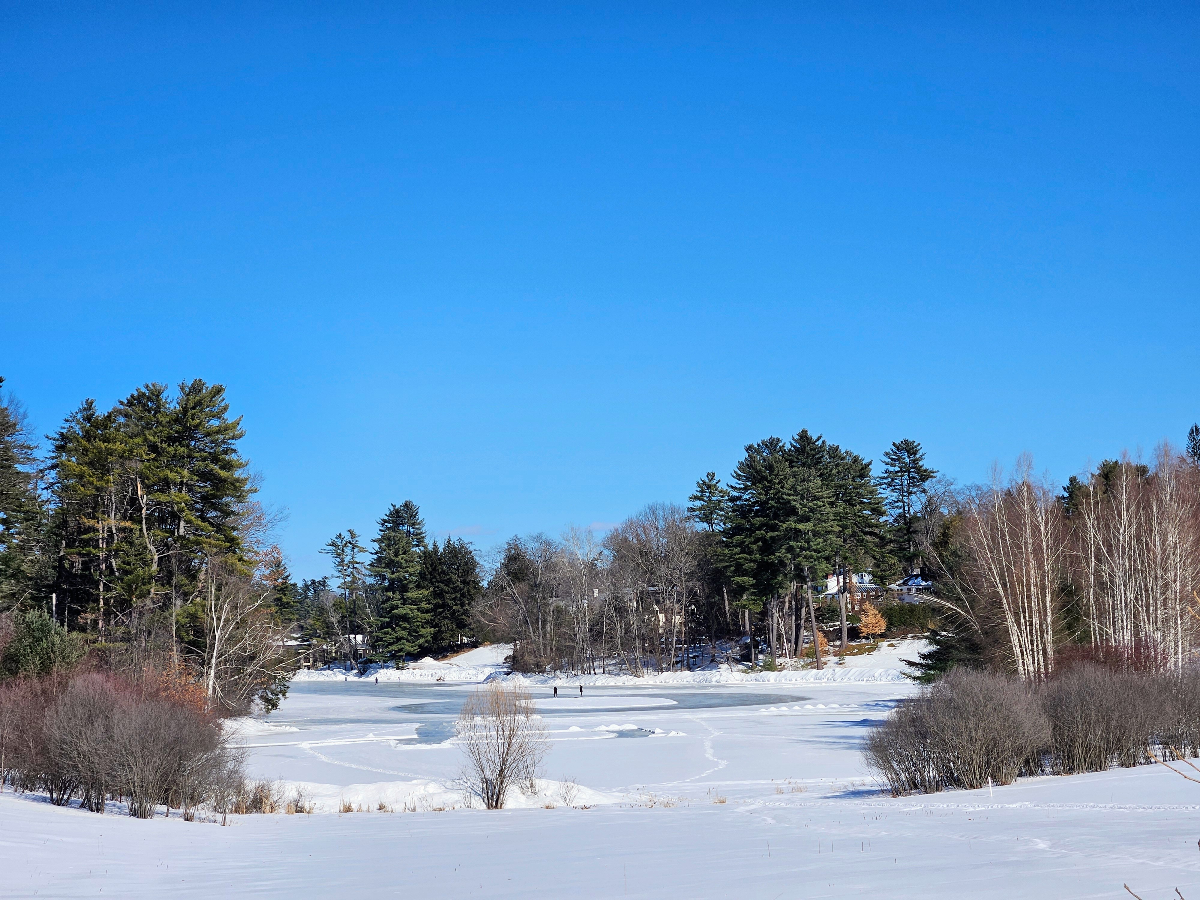 LINK FEST: 10 MARCH 2026