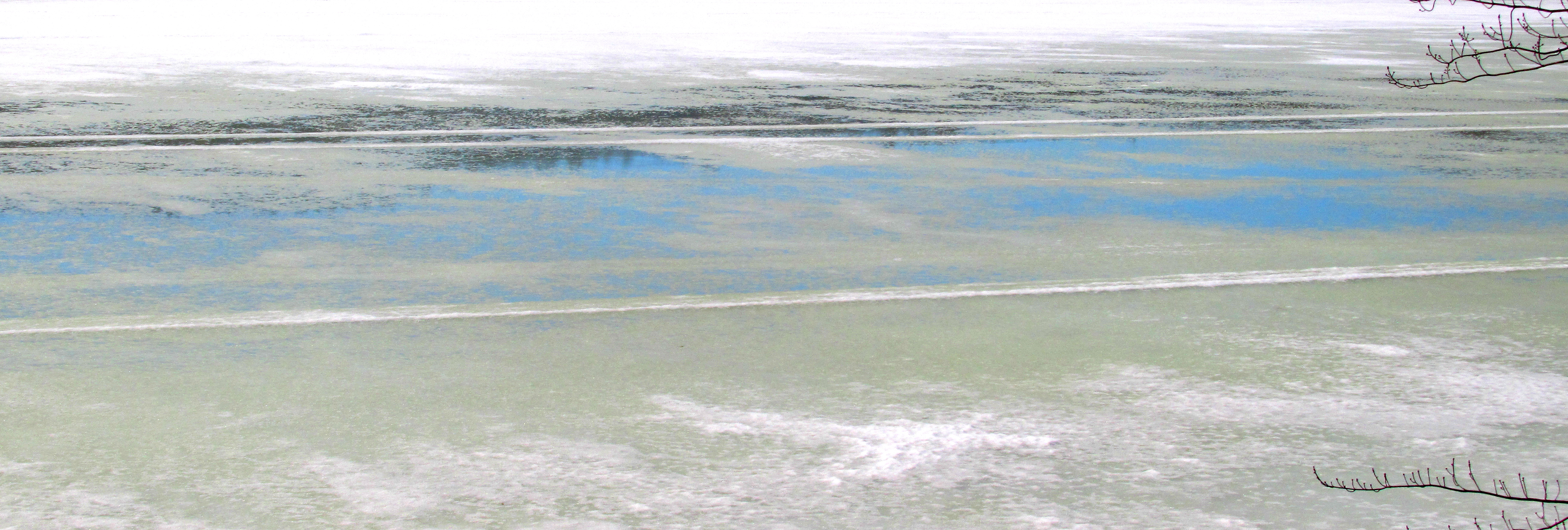 LIMINAL LIVING #115: 9 MARCH TO 15 MARCH 2026