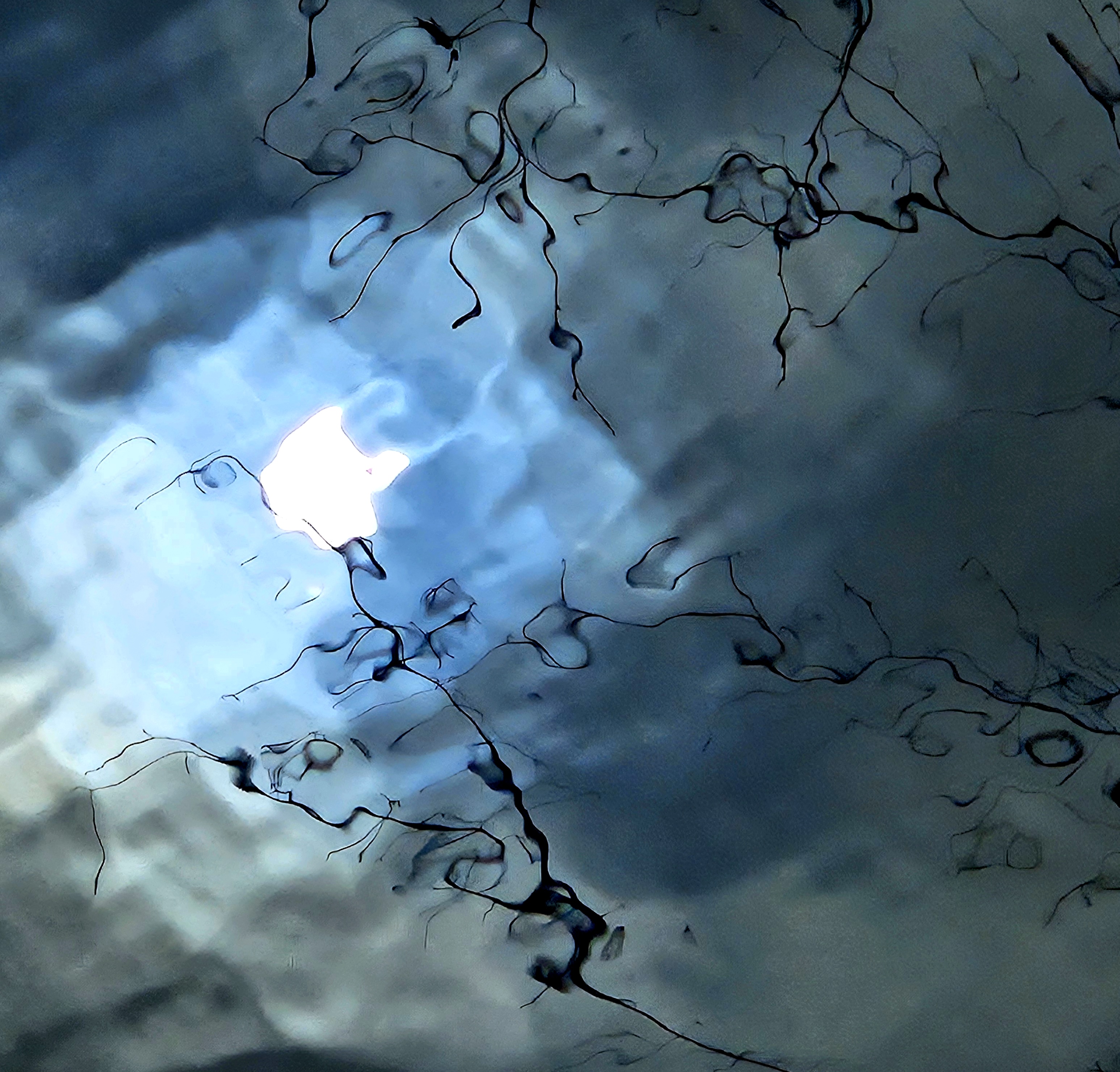 LINK FEST: 7 APRIL 2026