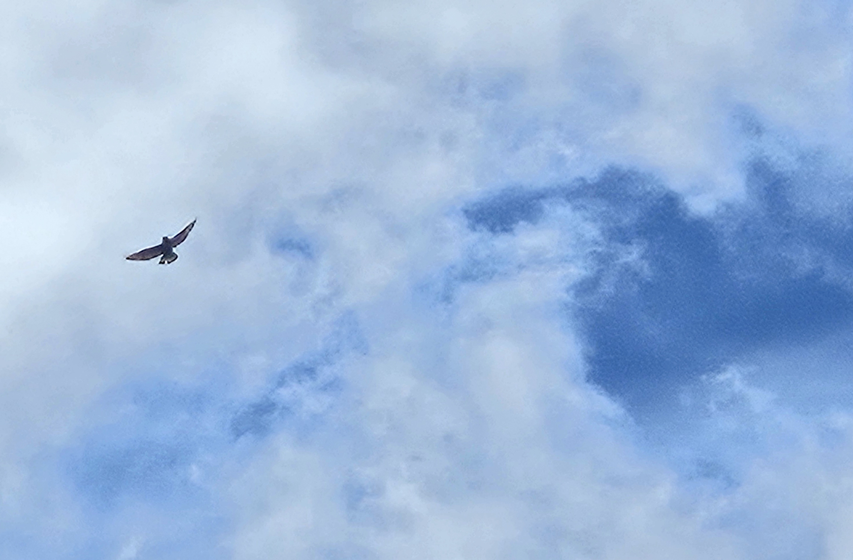 LINK FEST: 28 APRIL 2026