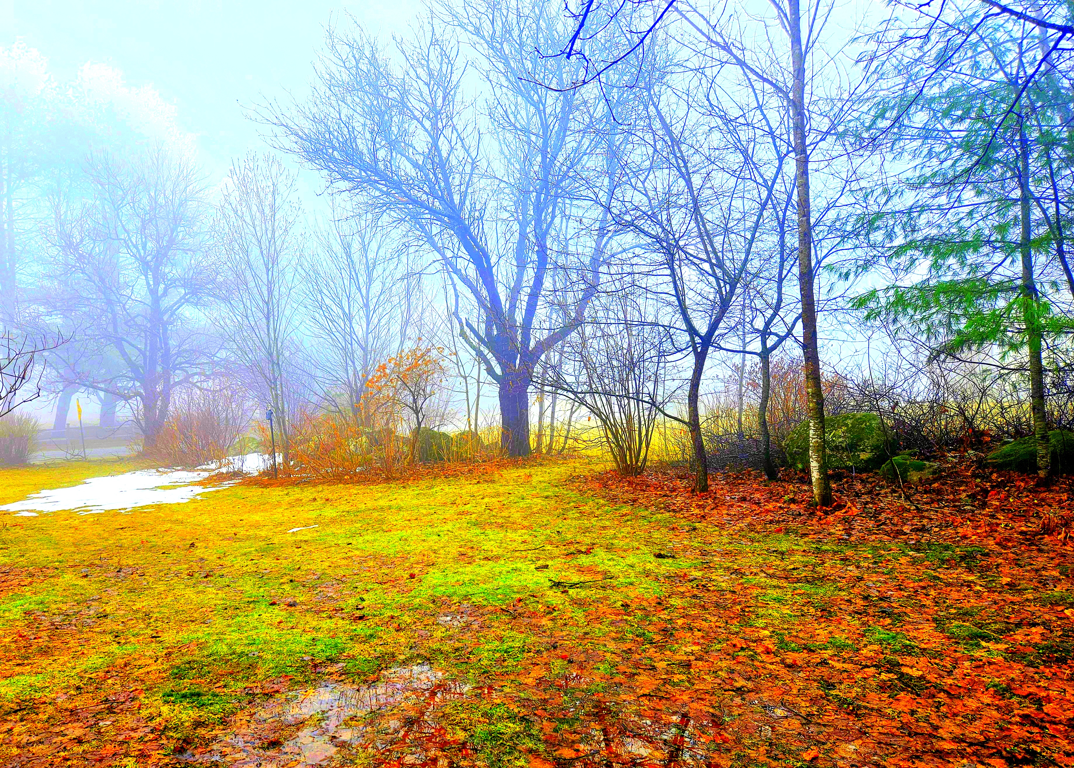 LIMINAL LIVING #118: 30 MARCH TO 5 APRIL 2026