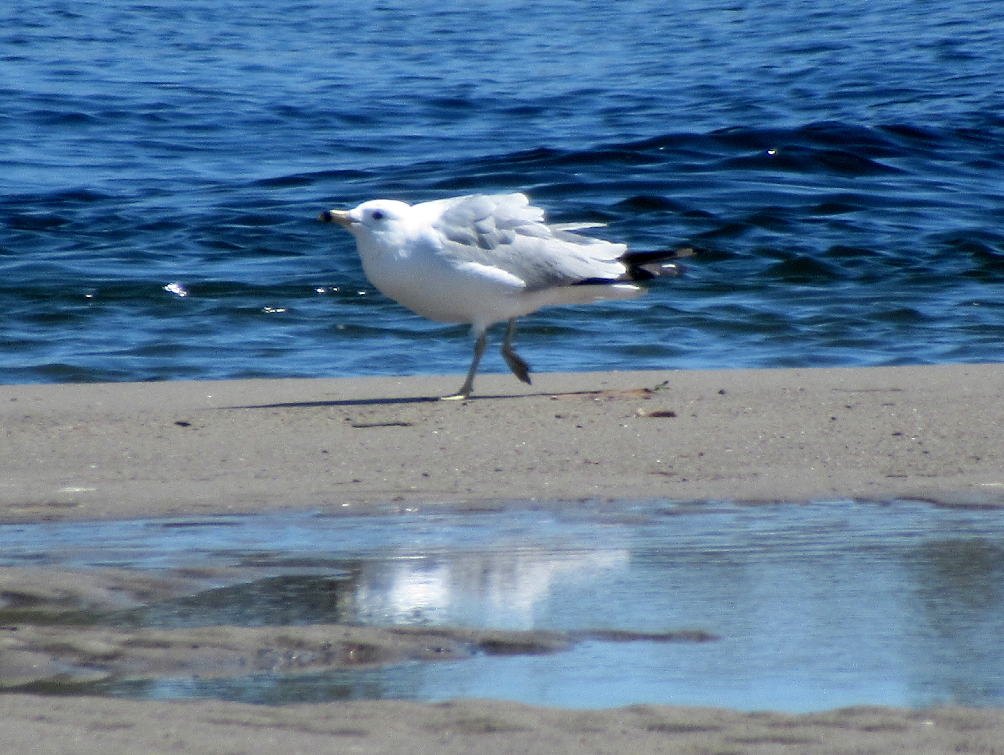 LIMINAL LIVING #120: 13 APRIL TO 19 APRIL 2026