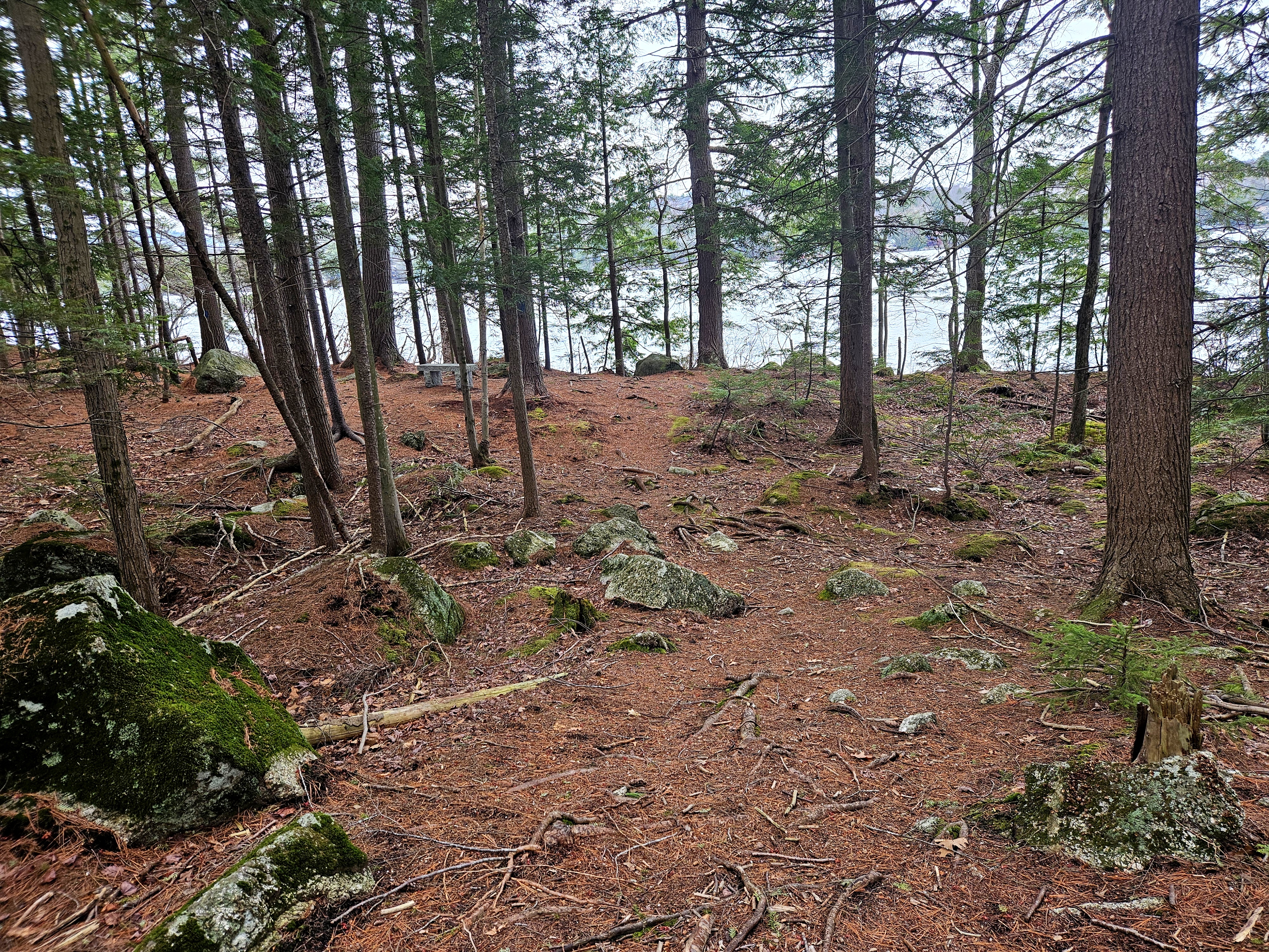 LIMINAL LIVING #121: 20 APRIL TO 26 APRIL 2026