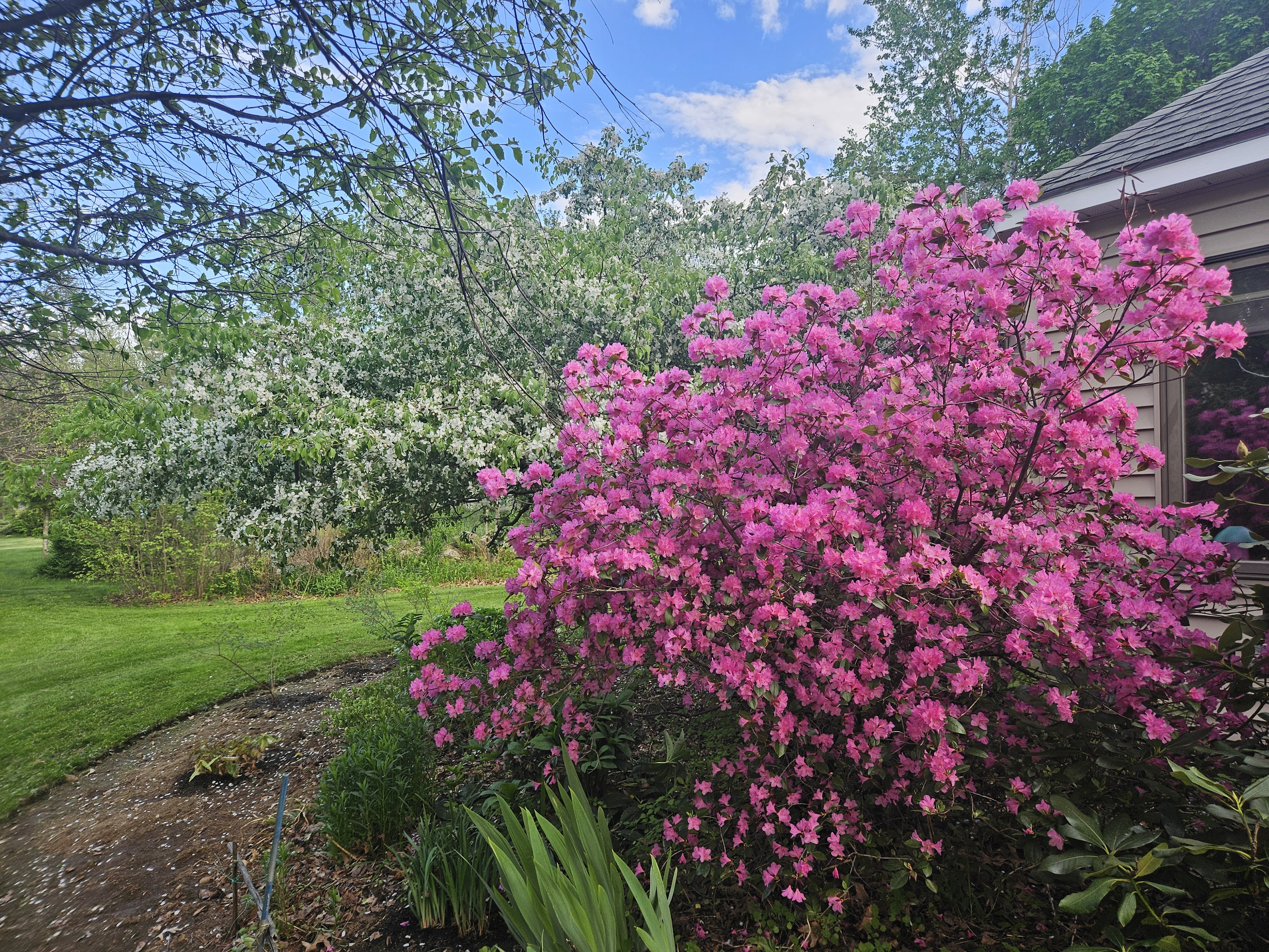 LIMINAL LIVING #125: 18 MAY TO 24 MAY 2026