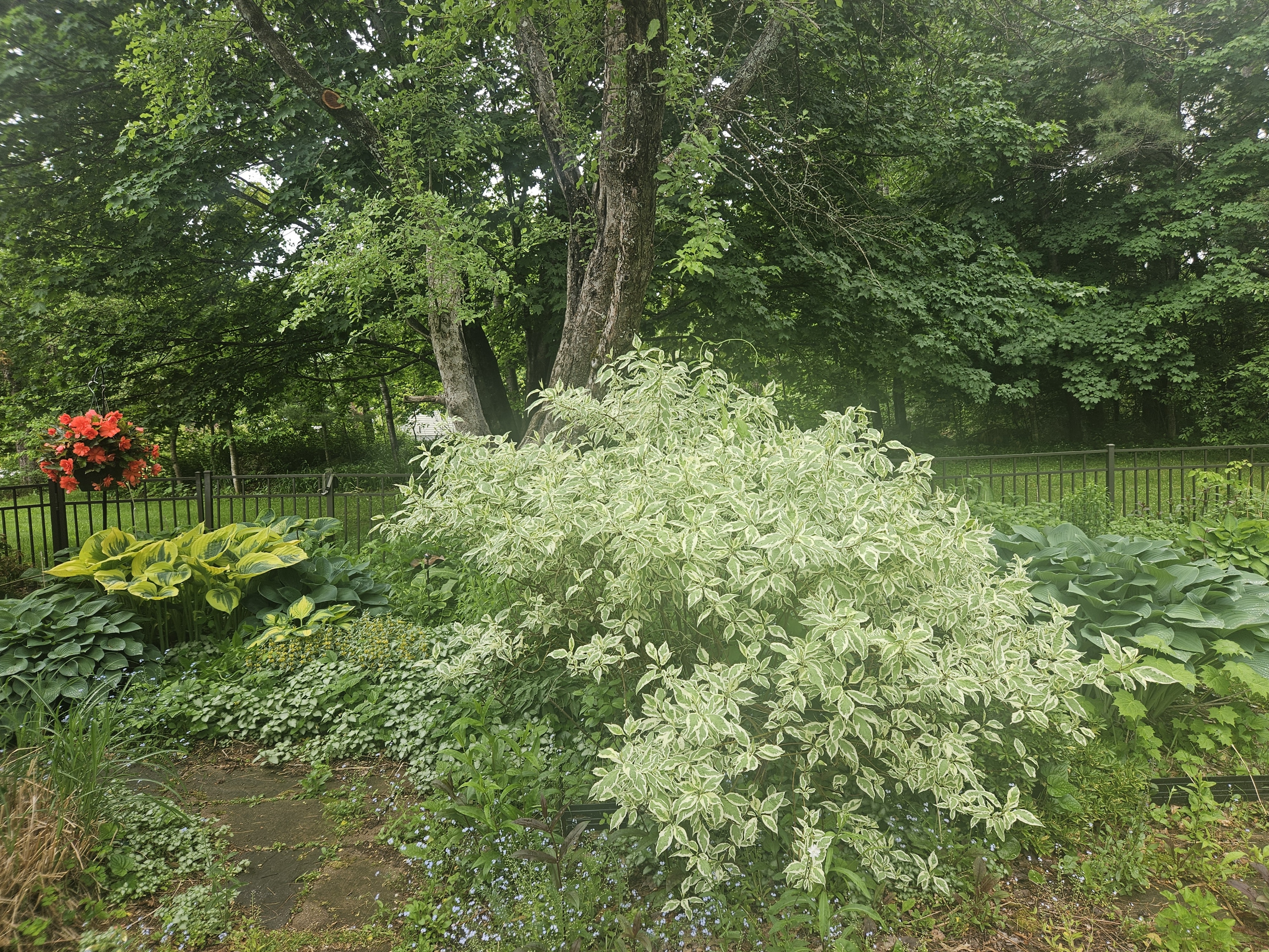 LIMINAL LIVING #127: 1 JUNE TO 7 JUNE 2026