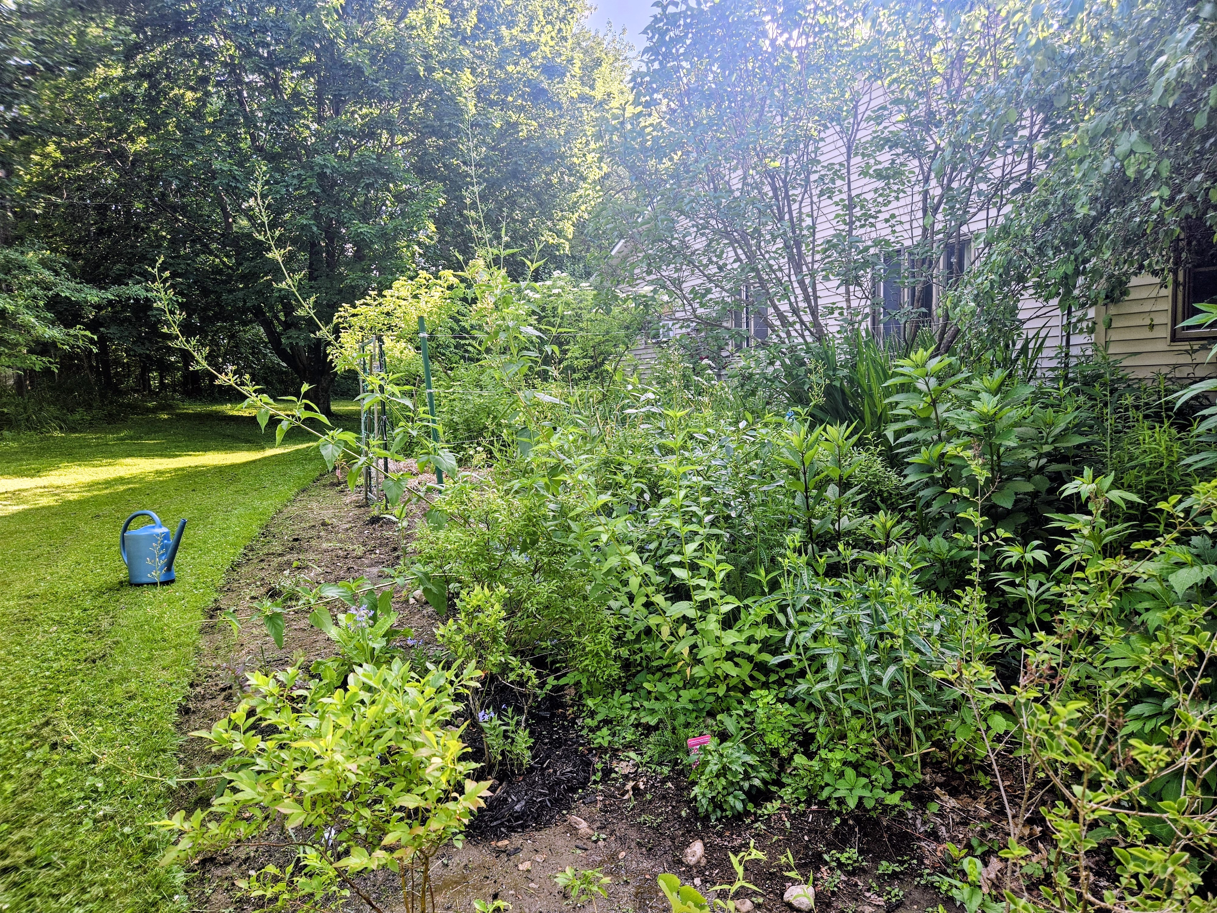 LIMINAL LIVING #130: 22 JUNE to 28 JUNE 2026