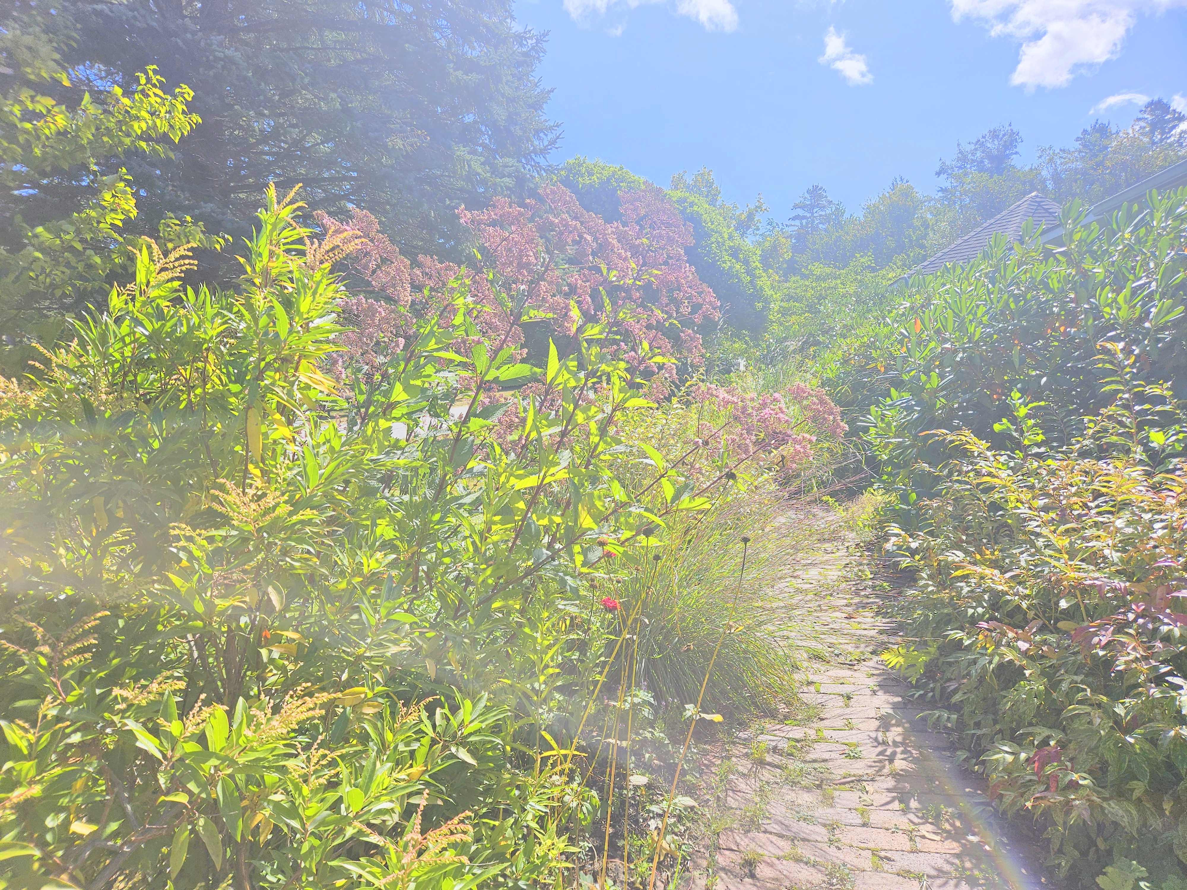 LIMINAL LIVING #142: 14 SEPTEMBER TO 20 SEPTEMBER 2026